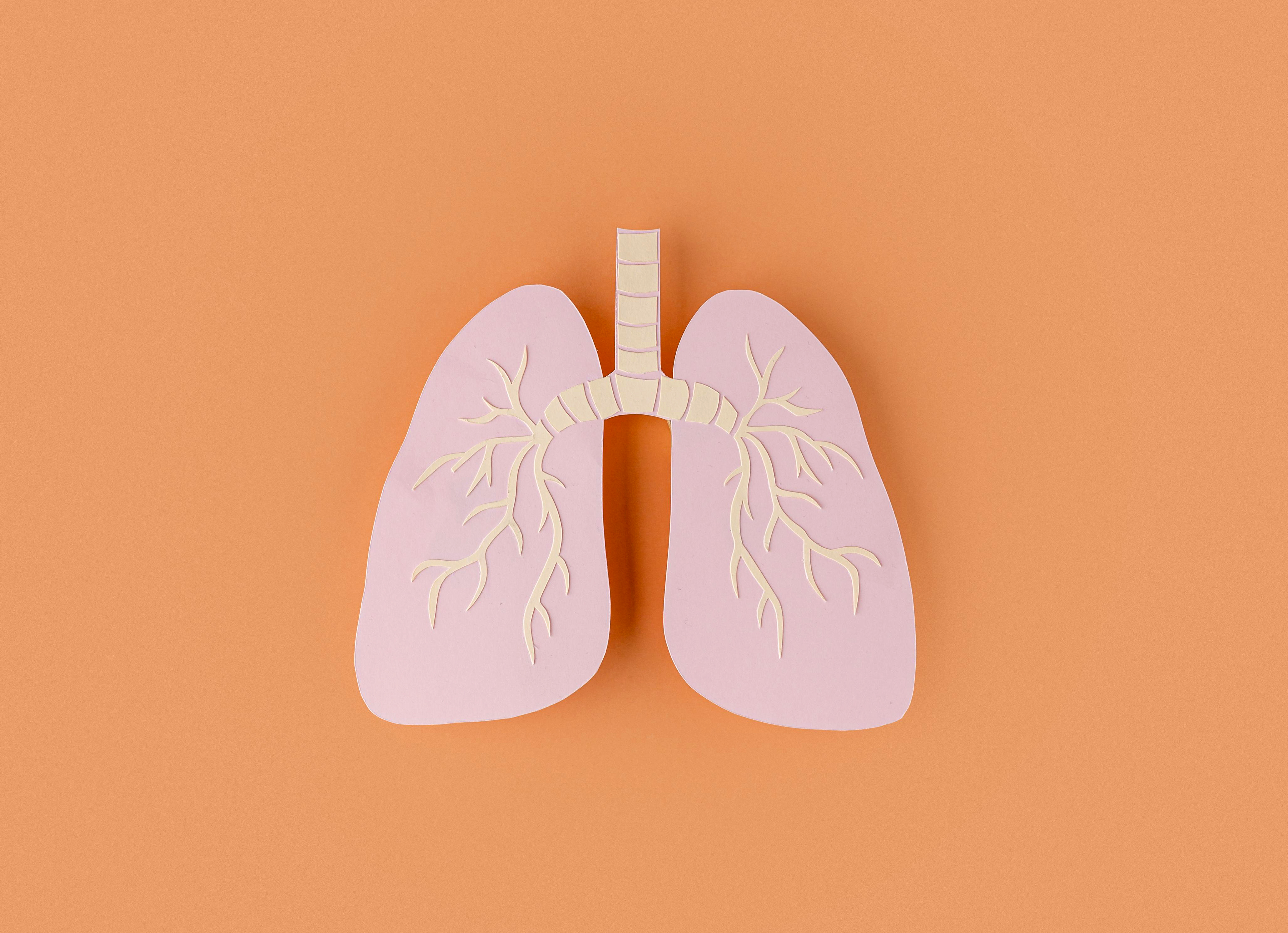 Every Breath You Take: The Life of a Lung Transplant