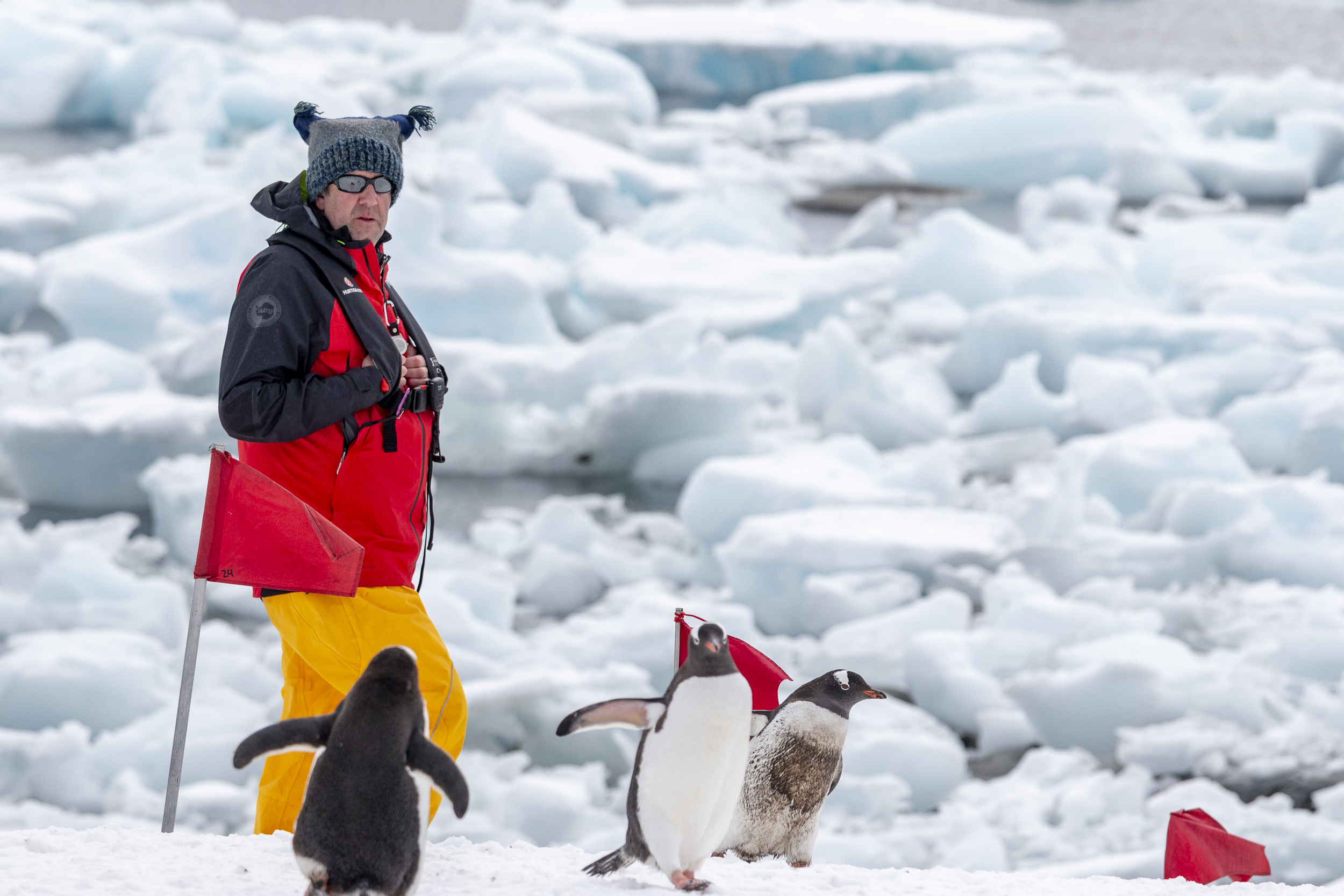 Working In Antarctica: “I Am My Weirdest Self!” episode artwork