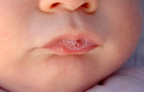 Think Before You Spit: The Pandora’s Box of DNA Testing