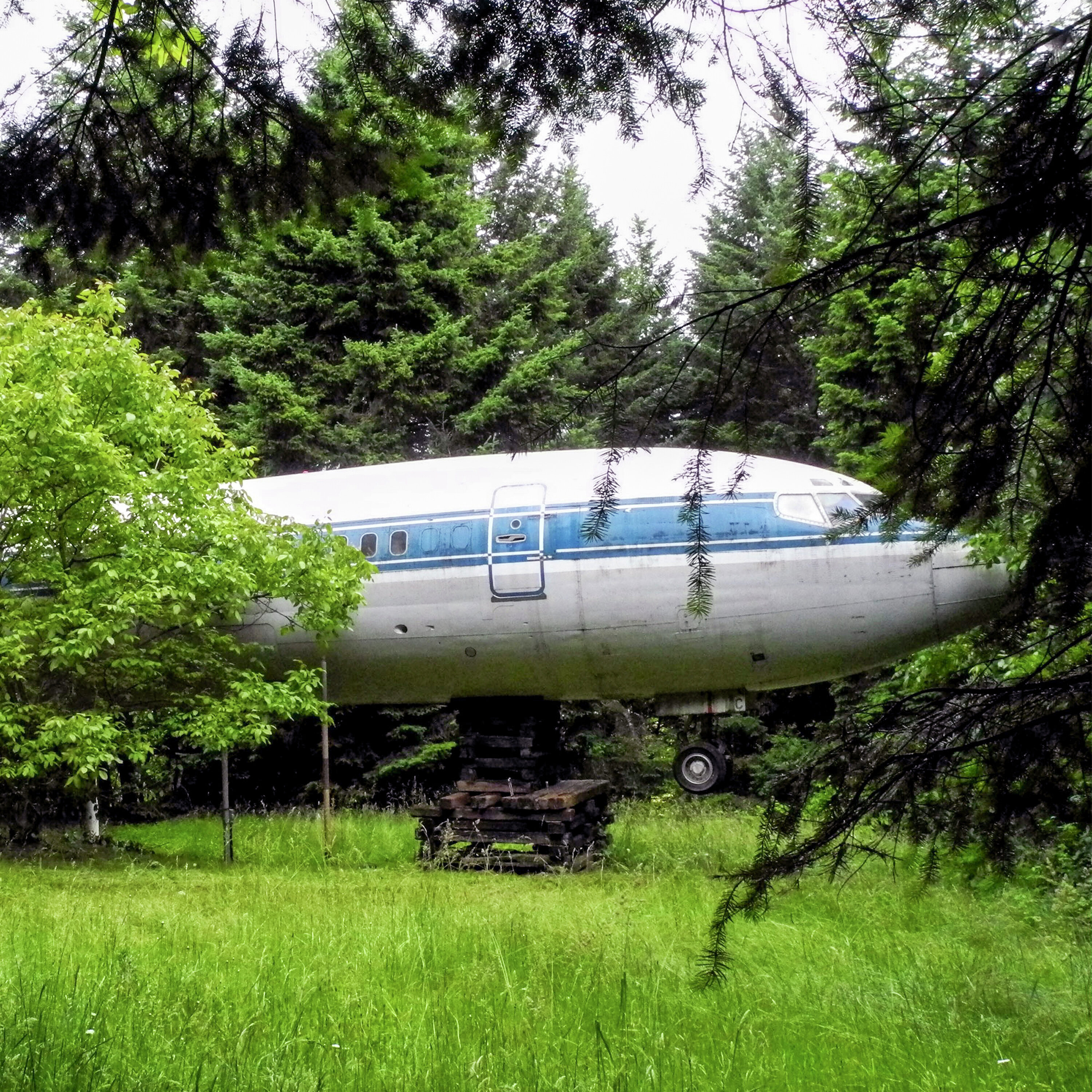 You live where?! When home is a plane or a cruise ship episode artwork