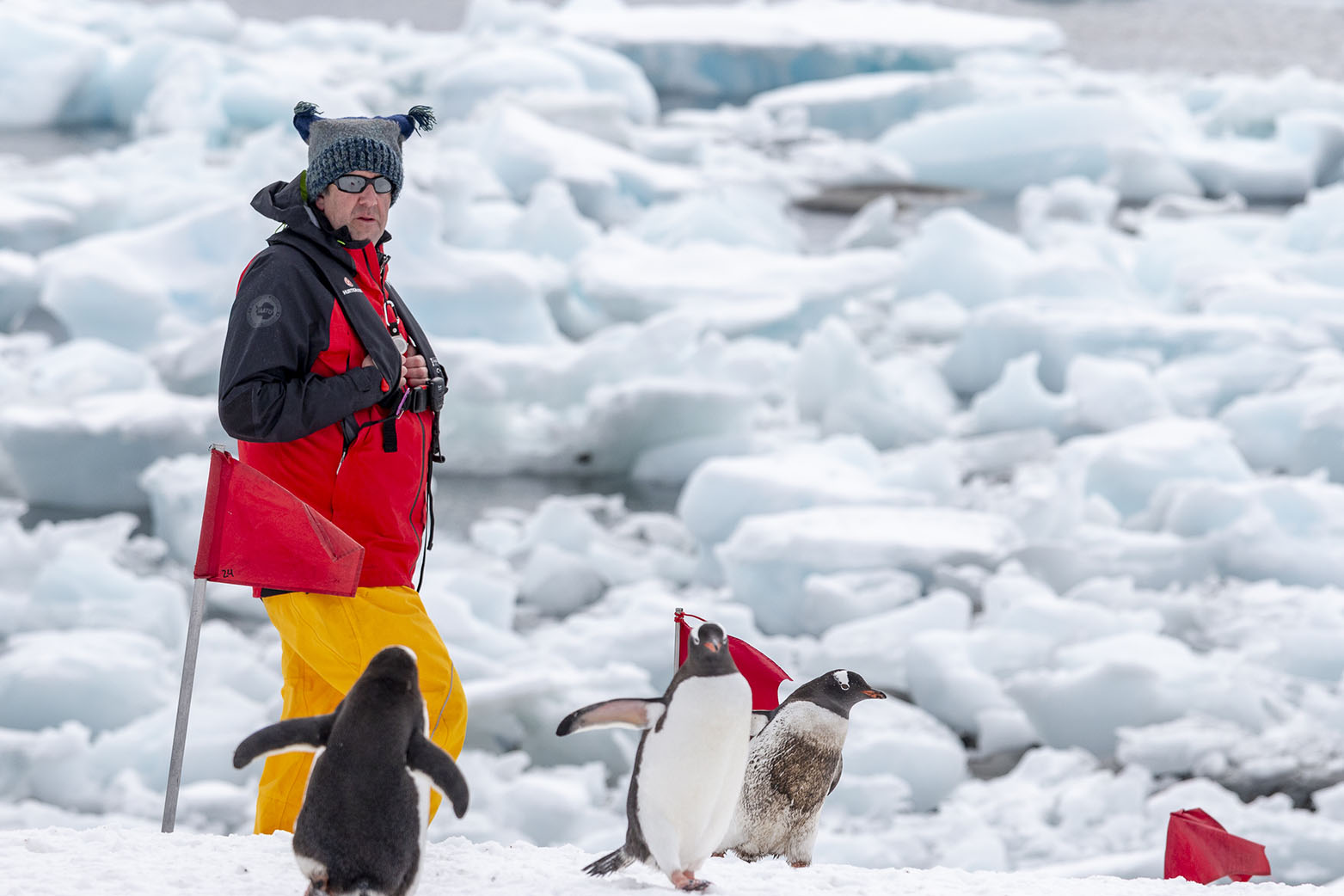 Working In Antarctica: “I Am My Weirdest Self!” episode artwork