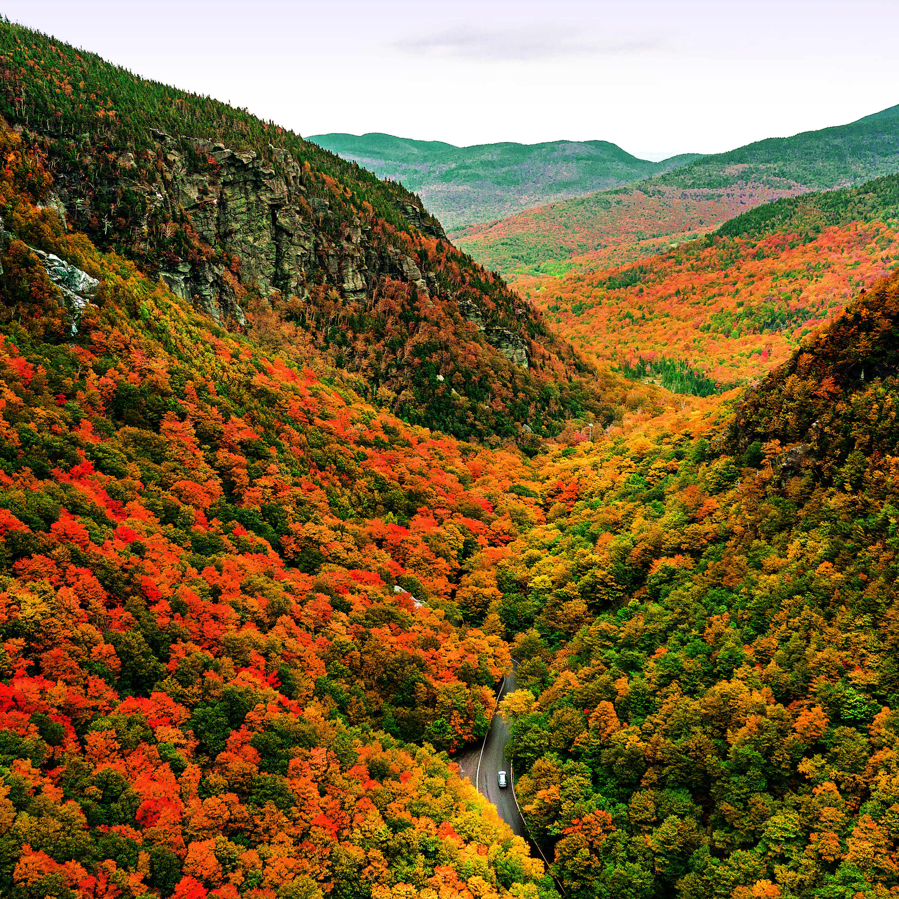 NEXT Episode 167: A Nephew’s Ammo Request Pushes Aunt To Raise Red Flag; Fall And New England Forests