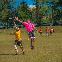 The Ultimate Glory Of Ultimate Frisbee