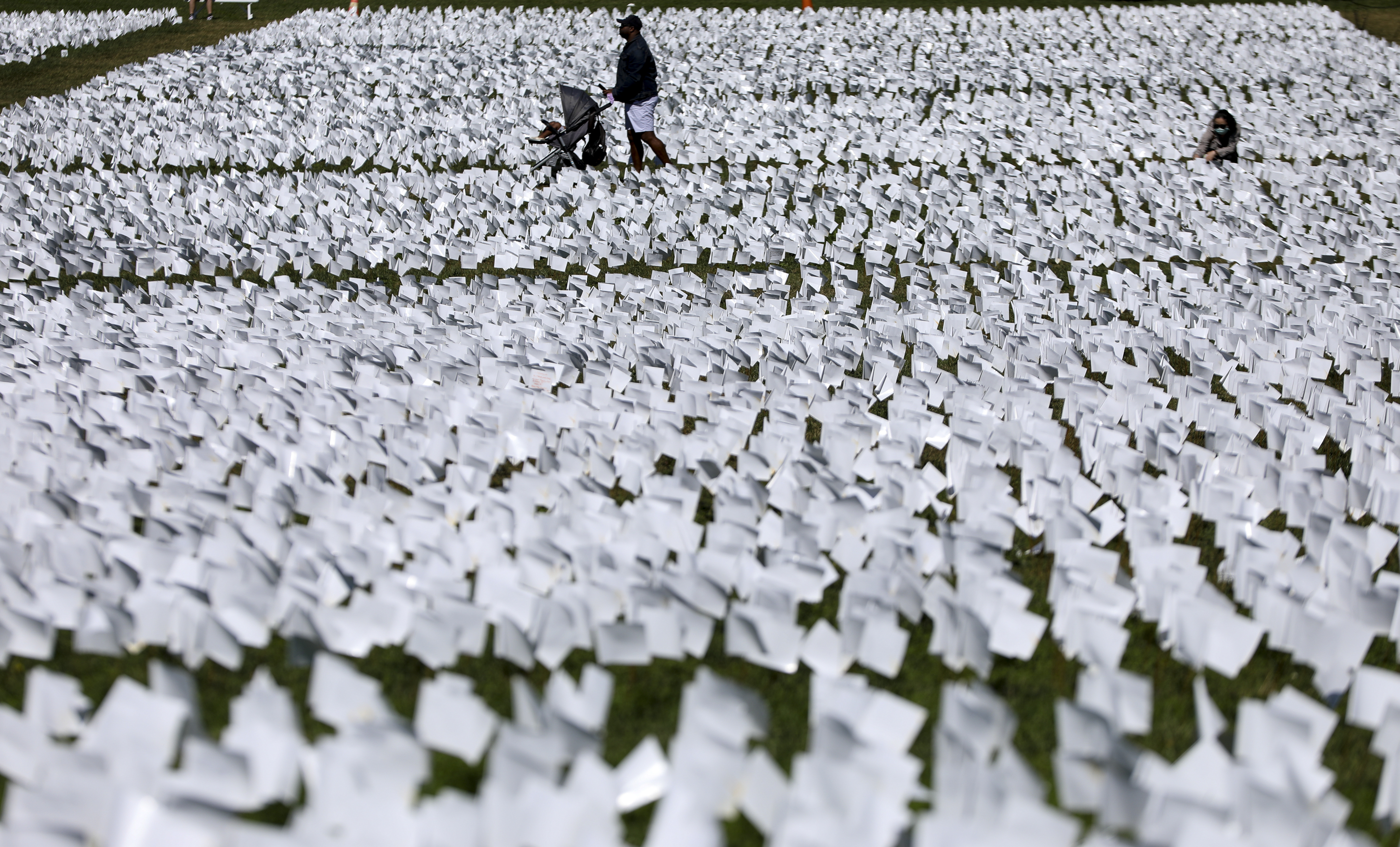 There are 20 quadrillion ants on Earth. How do we make sense of a number like that?