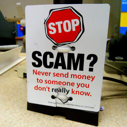 Why Are We So Fascinated By Scams?
