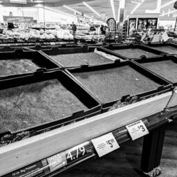 Grocery Blues: Supermarket Shopping In The Time Of COVID