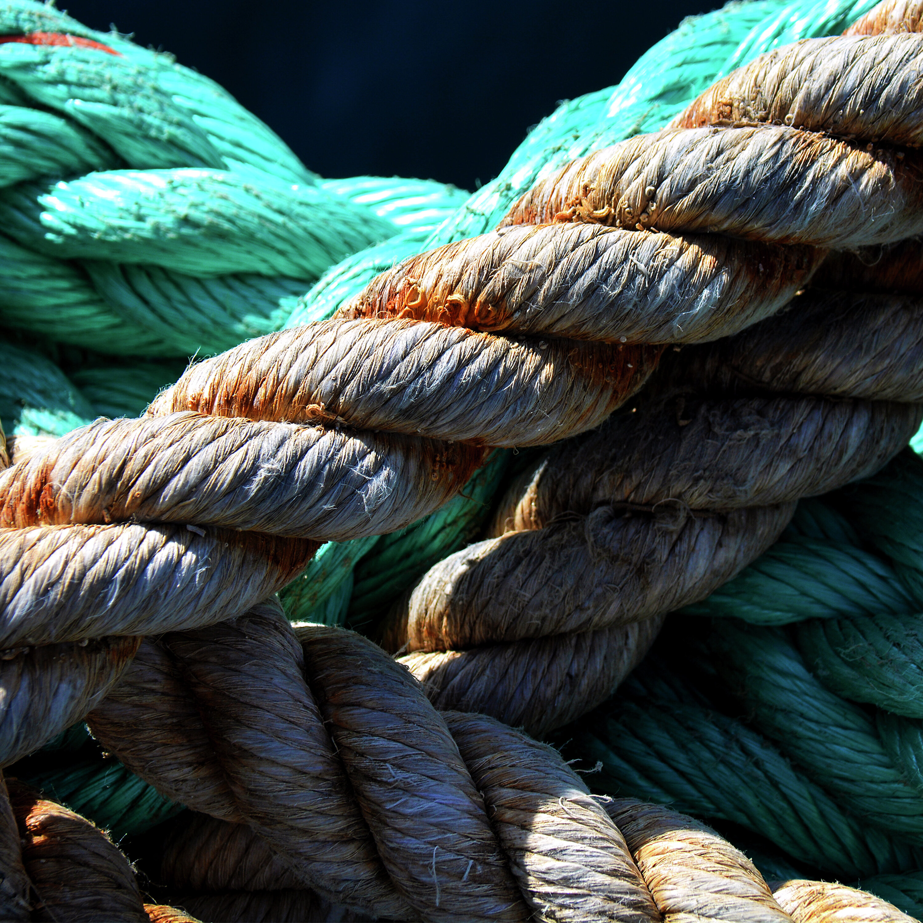 Rope has been knotting humanity together for centuries episode artwork