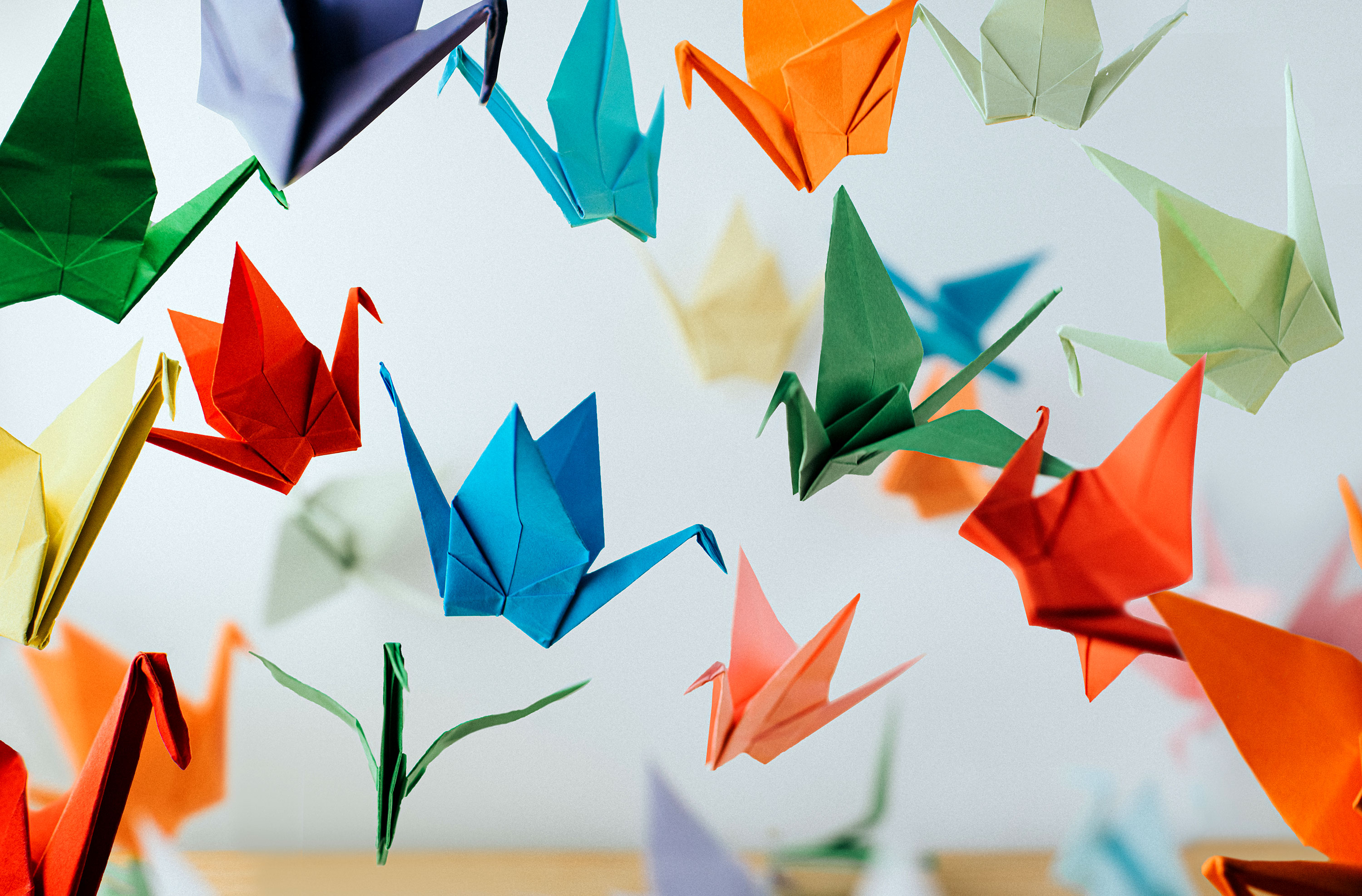 The unfolding evolution of origami