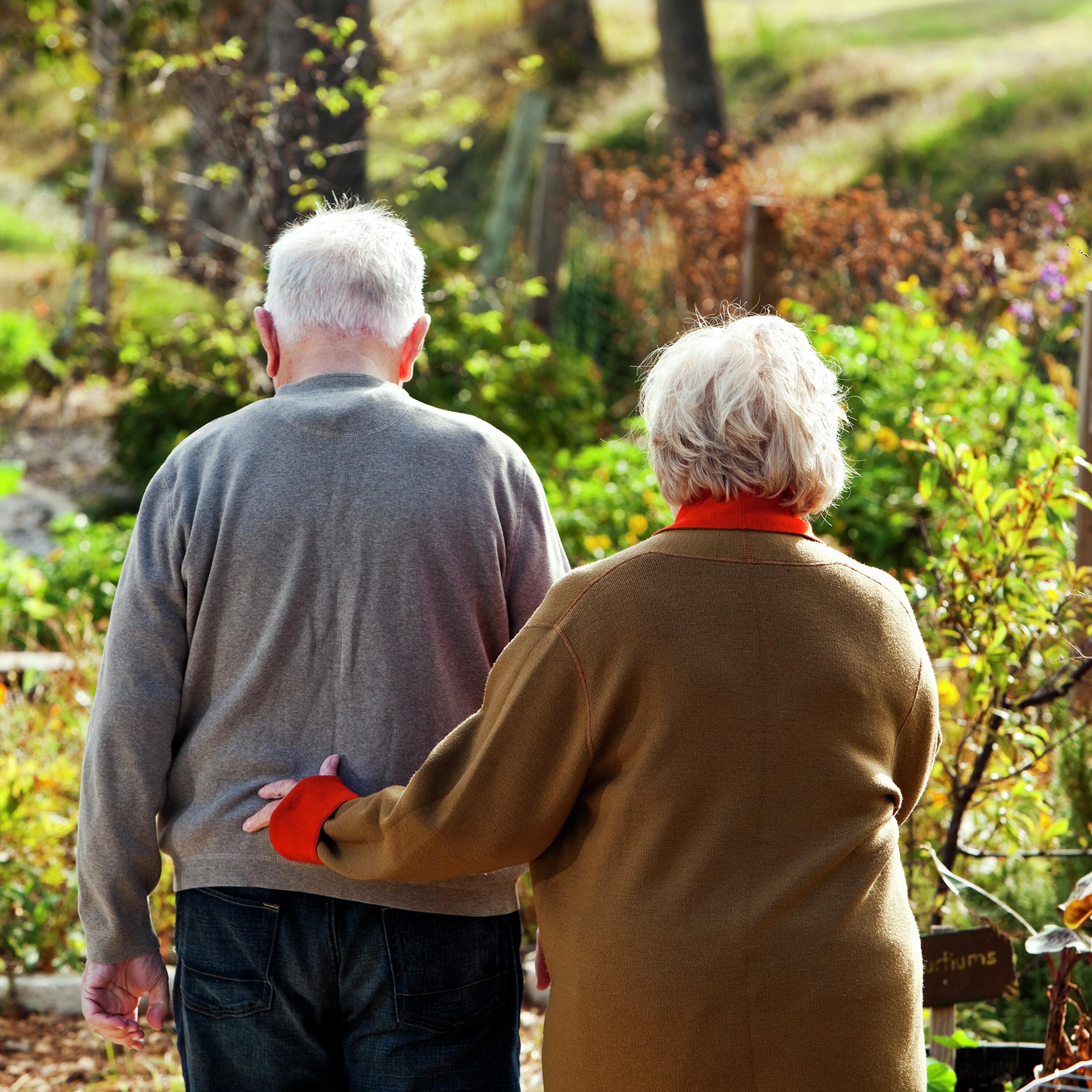 Alzheimer’s Disease: What we know, and what’s changing