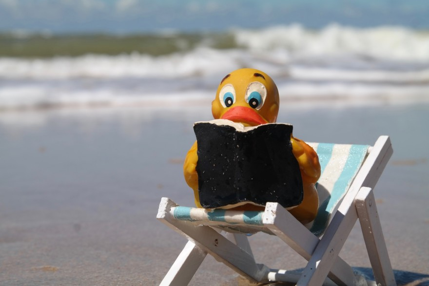 Bookworms and Beach Reads: It's Our Summer Reading Show!