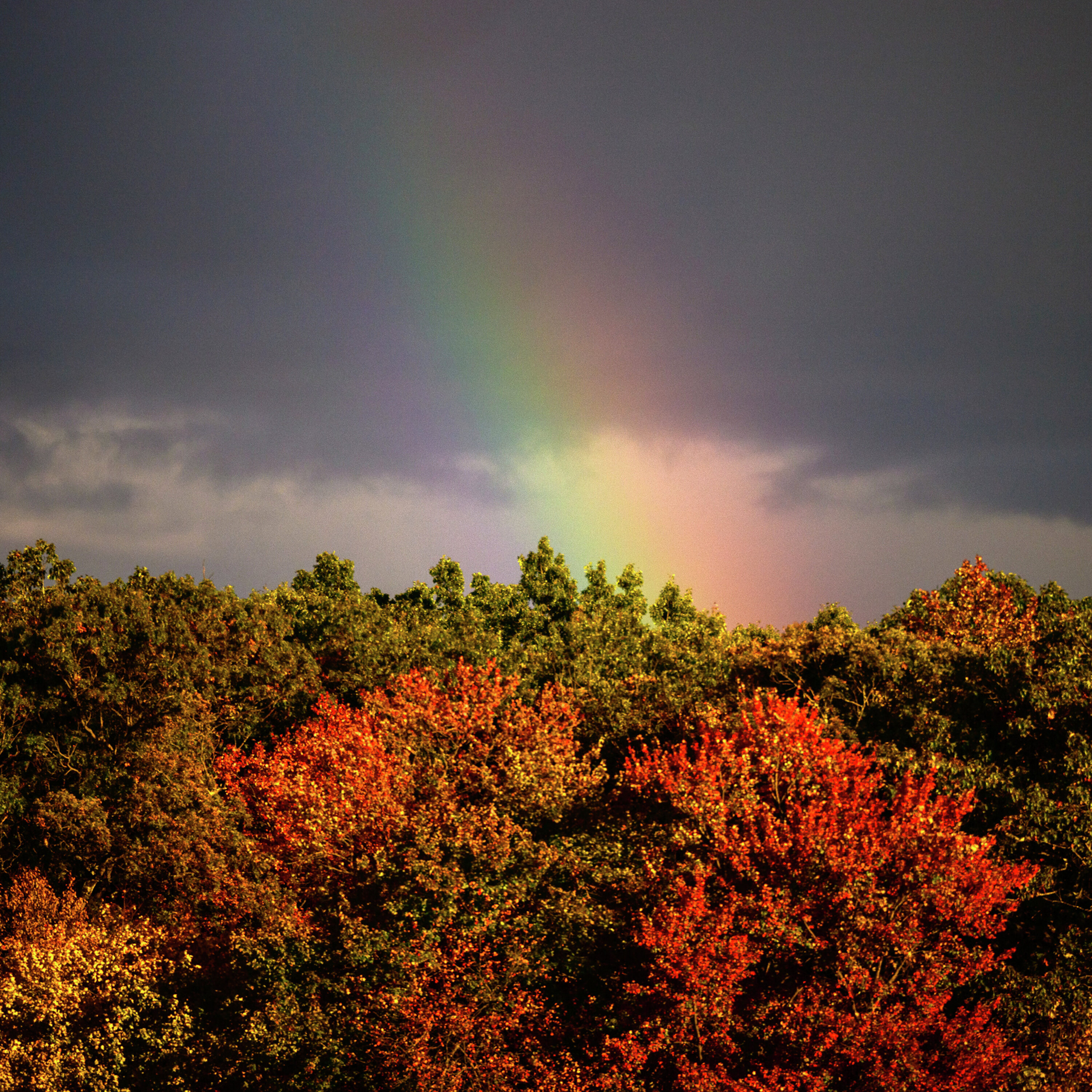 How to make the most of fall in Connecticut