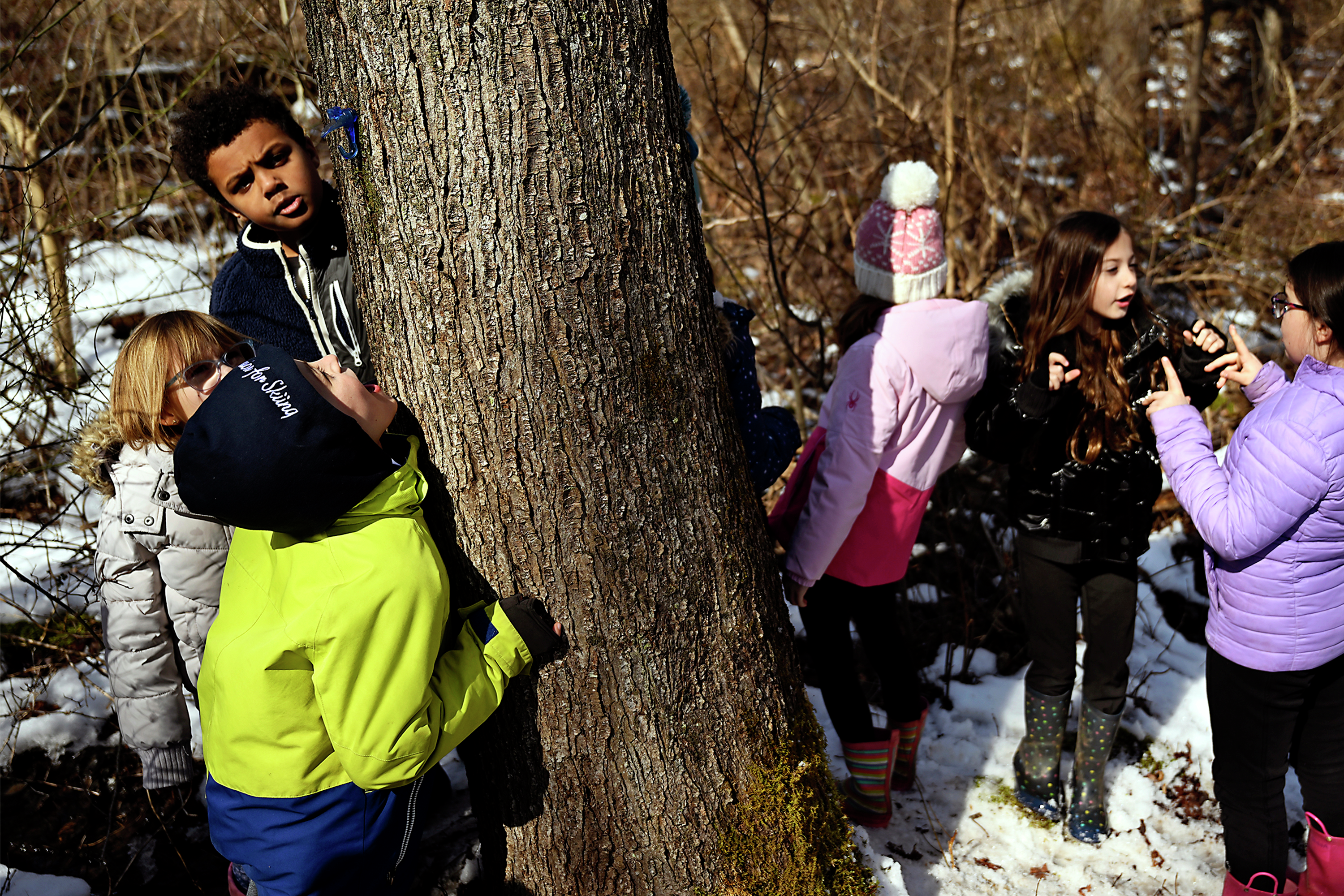 What we can learn by embracing our inner scientist