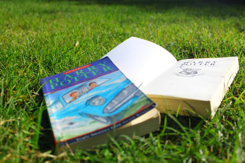 July Pandemic Book Club: Summer Reads!