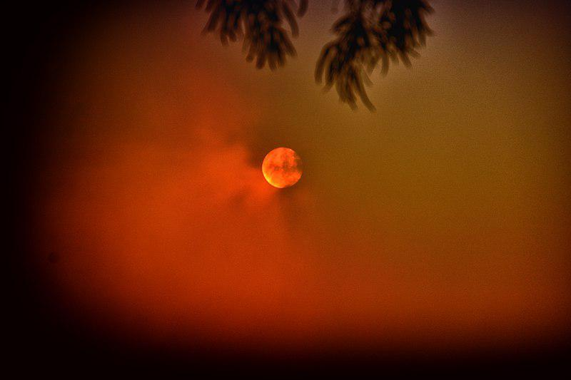 As Bush Fires Burn In Australia, A Look At Climate Change's Impact