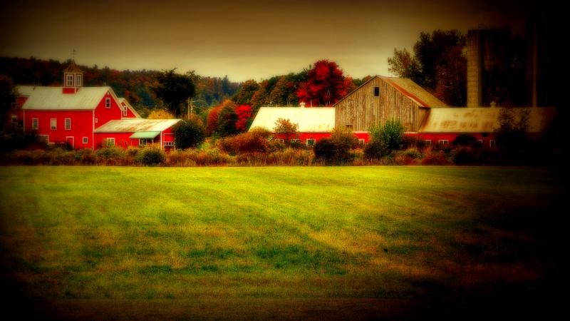 Where We Live