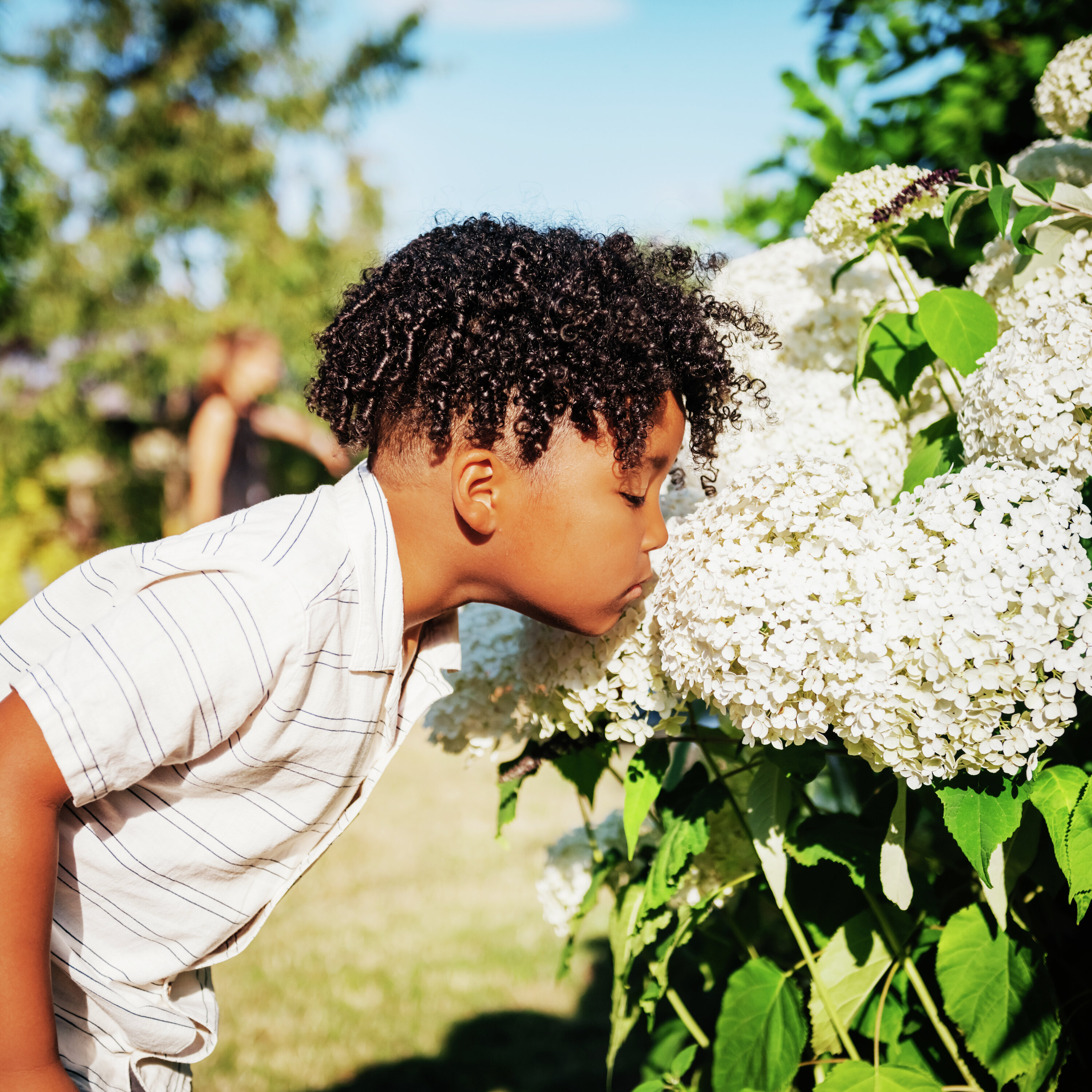Smell defines our world in hidden and powerful ways