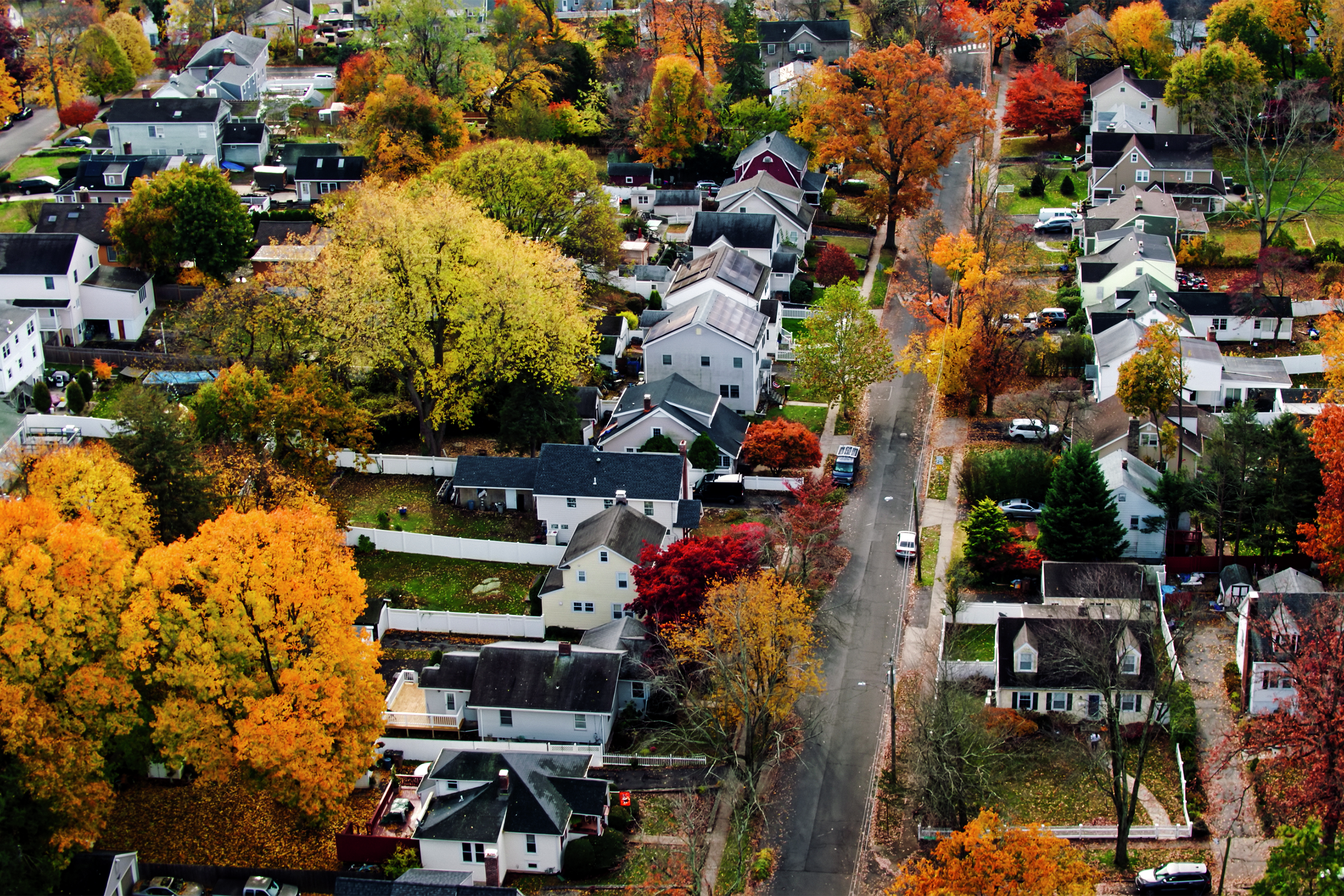 Leaf peeping and birdwatching: How to fall in love with autumn in CT