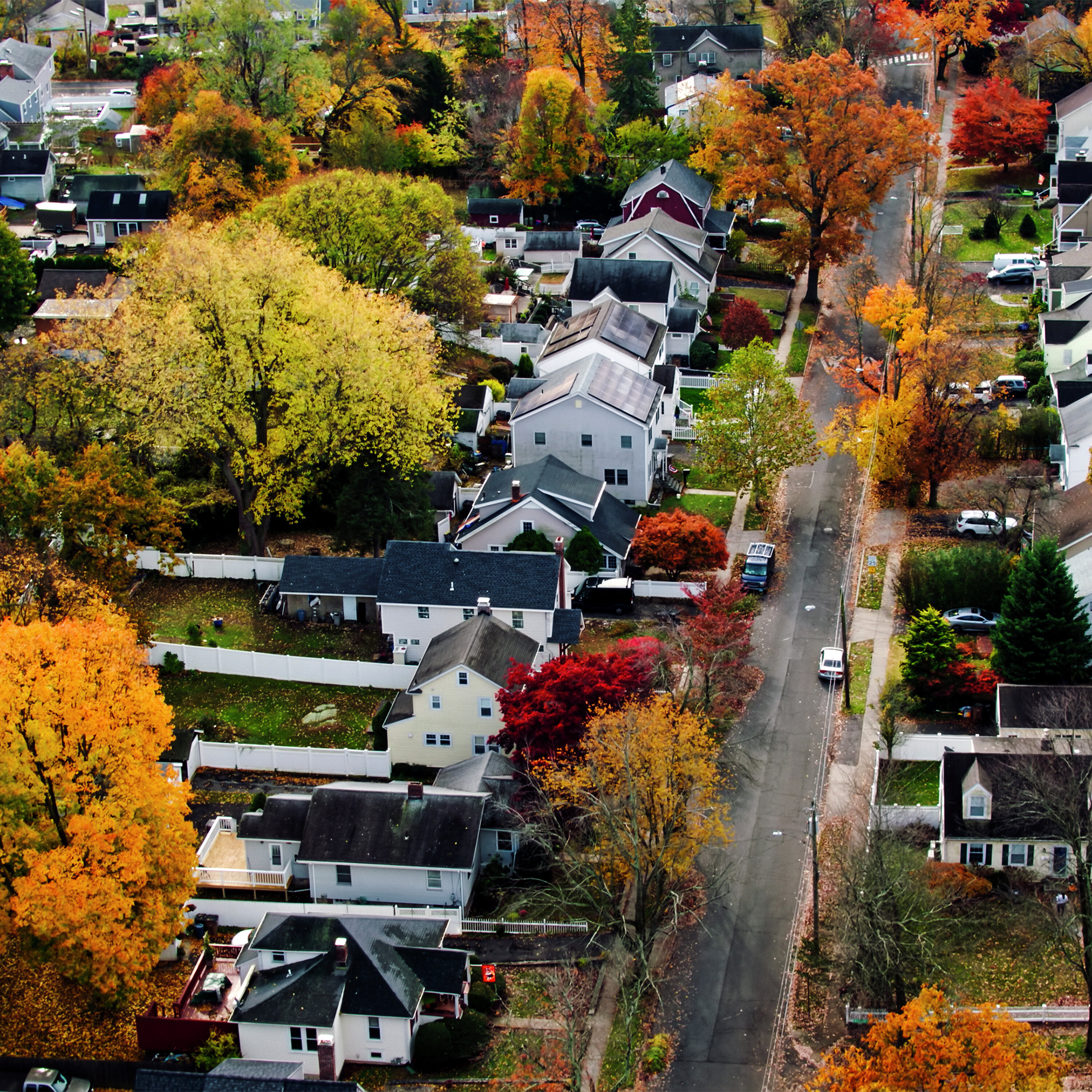Leaf peeping and birdwatching: How to fall in love with autumn in CT