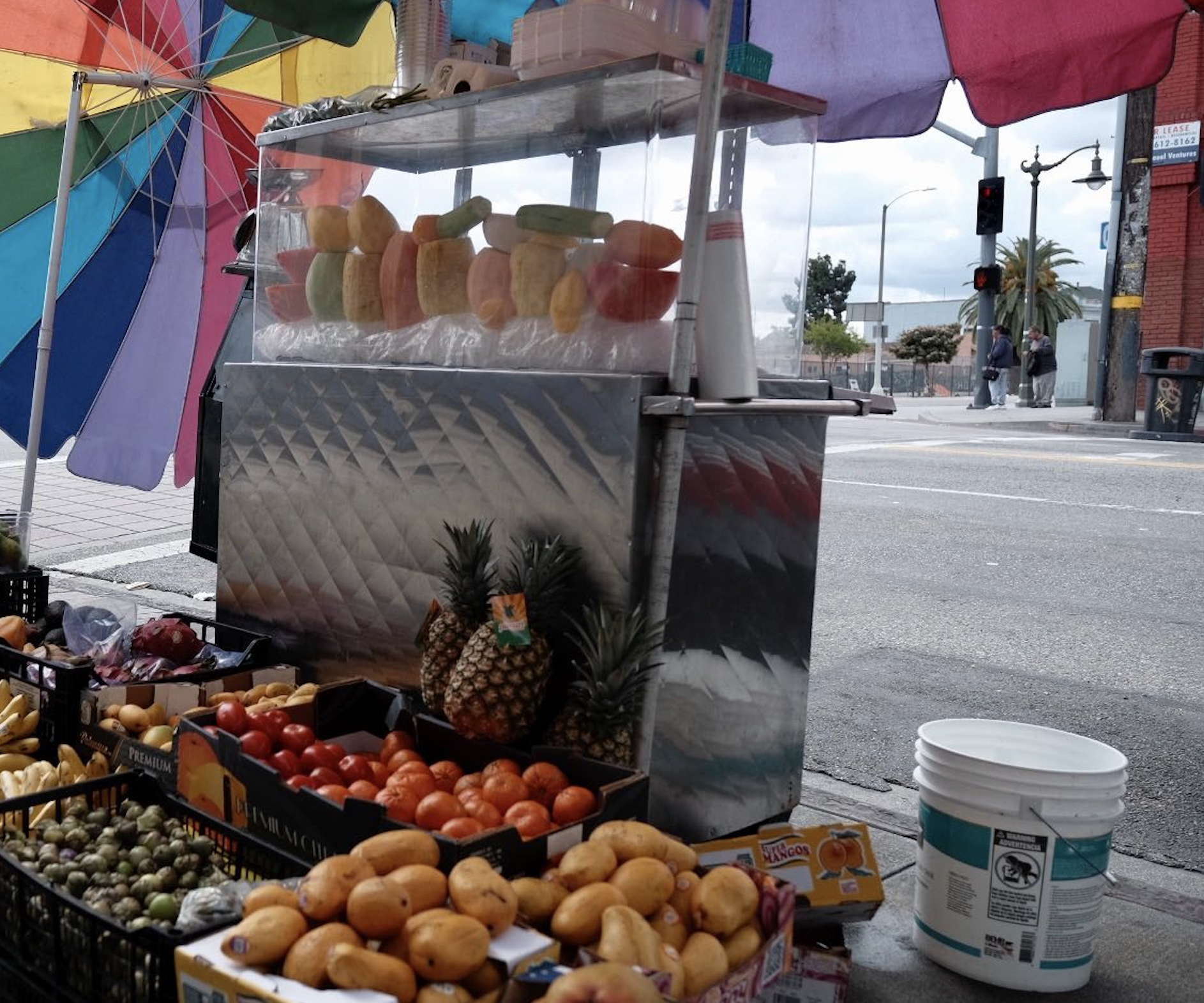 Mis Ángeles: It Hurts To See Los Angeles This Way