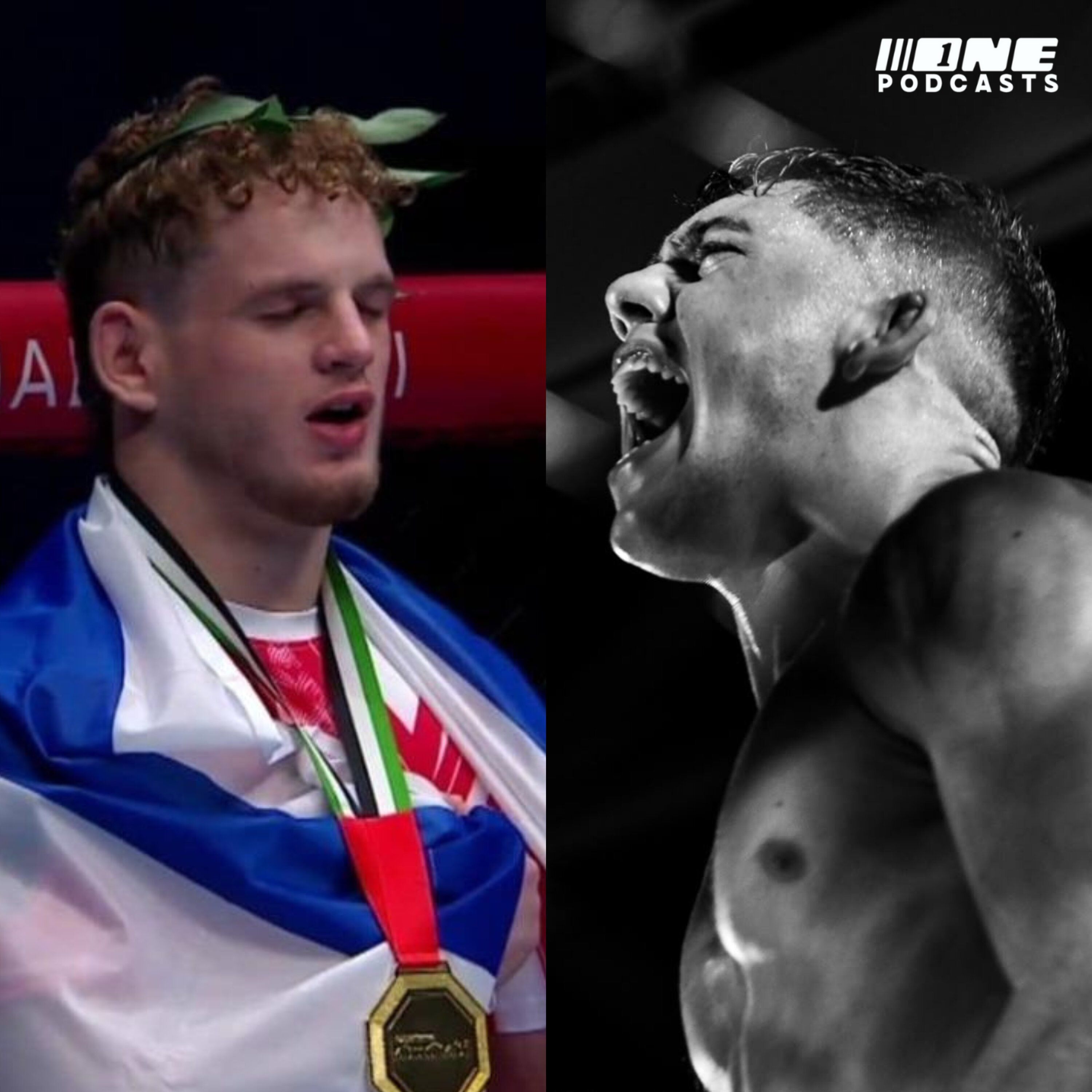 Artwork for נוקאאוט