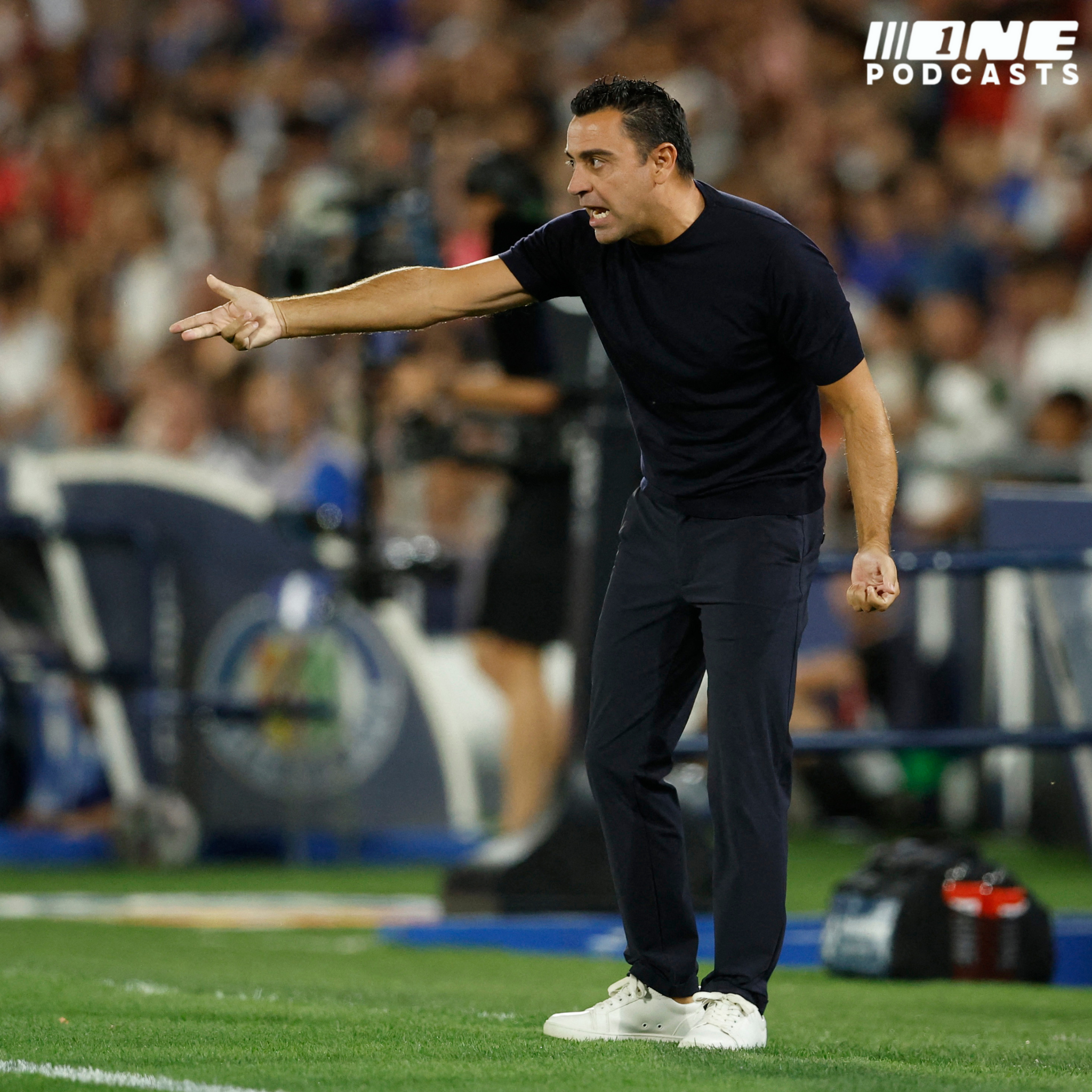 בלי כנפיים, קשה להמריא