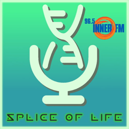 Splice of Life 1-August-2026