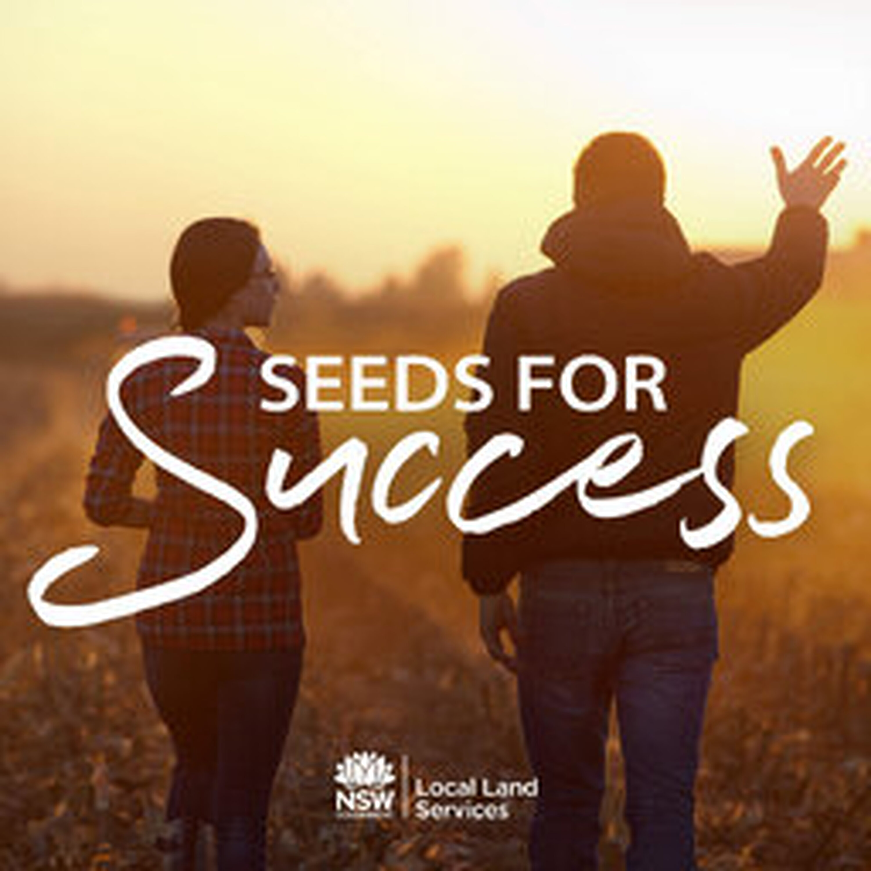 Grain Storage, Innovation and the Future of Agriculture with David Langfield episode artwork