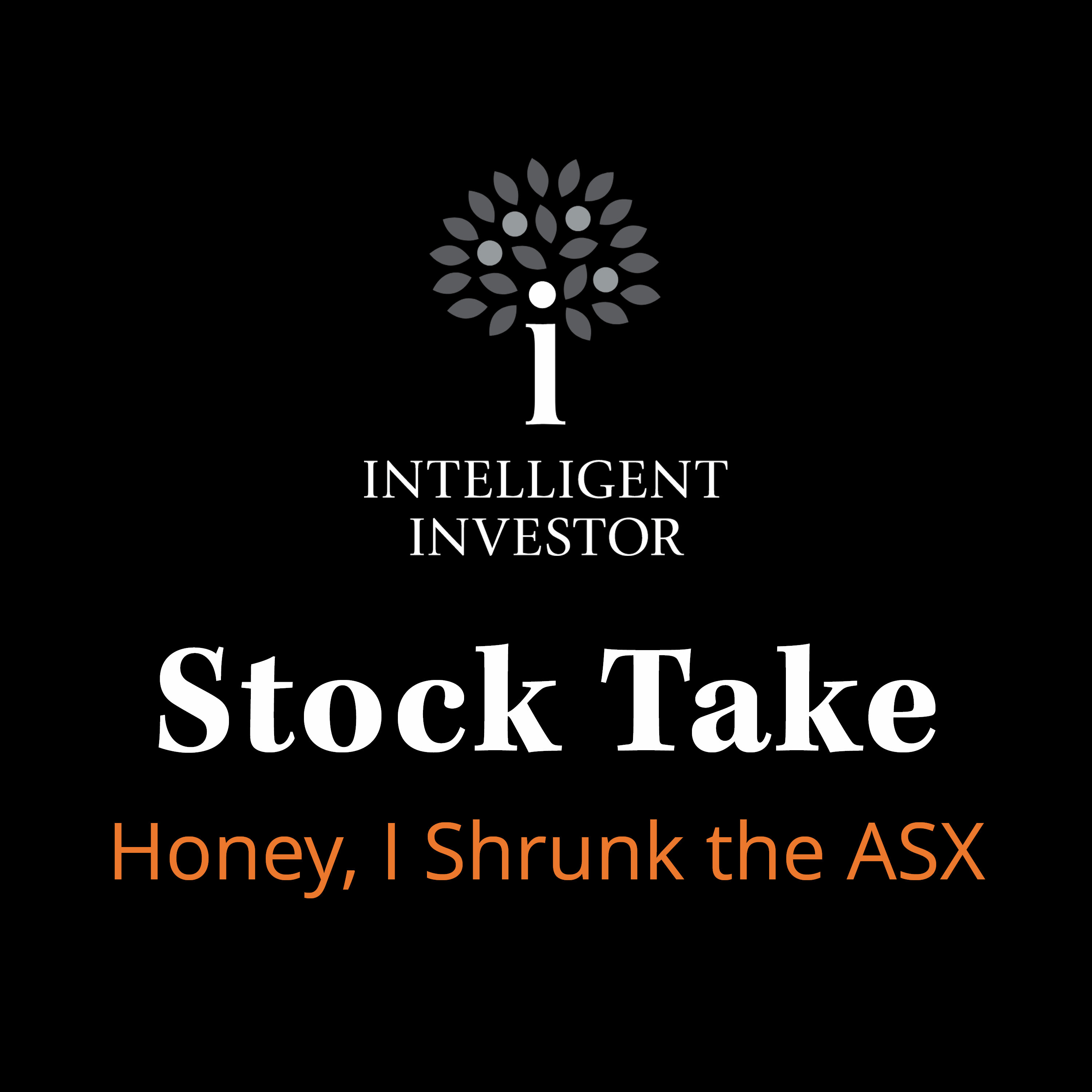 Stock Take: Honey, I Shrunk the ASX episode artwork