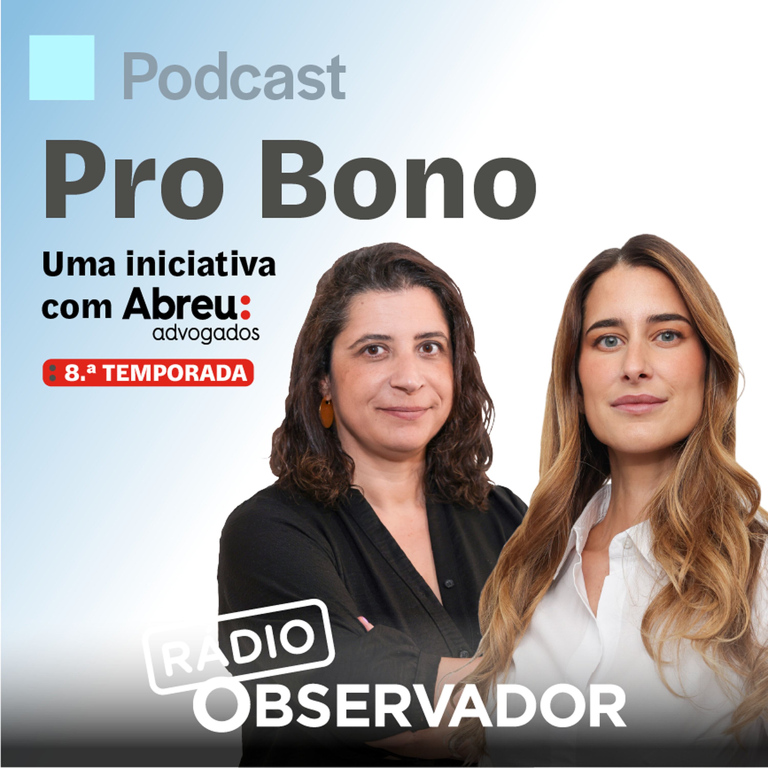 Artwork for Pro Bono