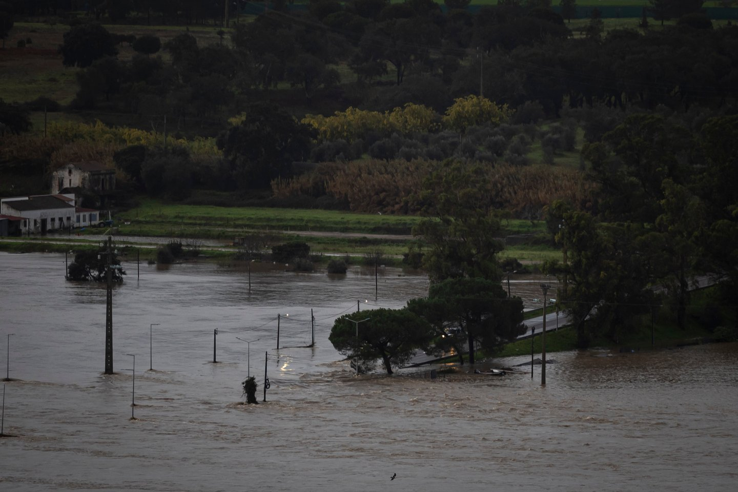 Reportagem Observador