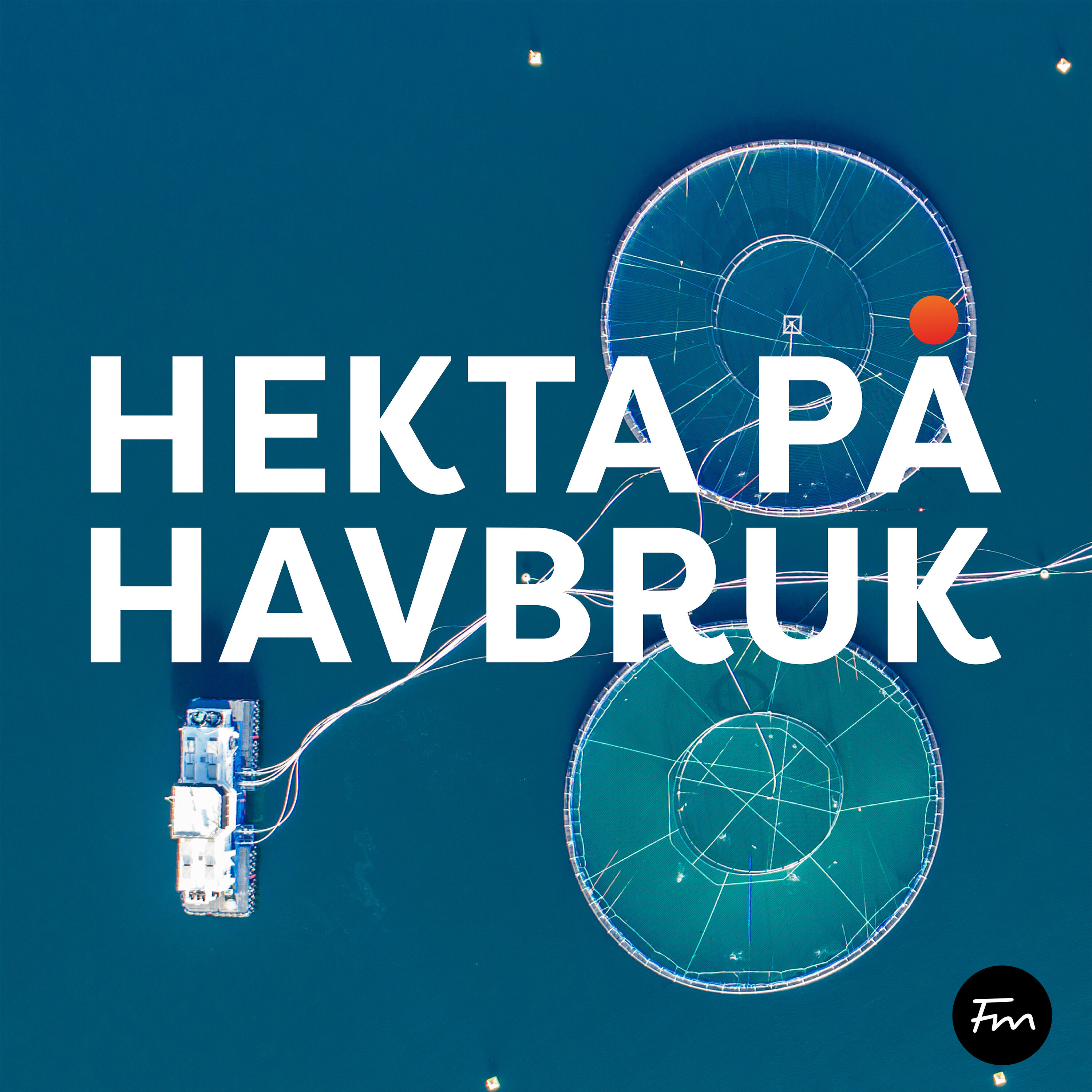 Hekta på Havbruk