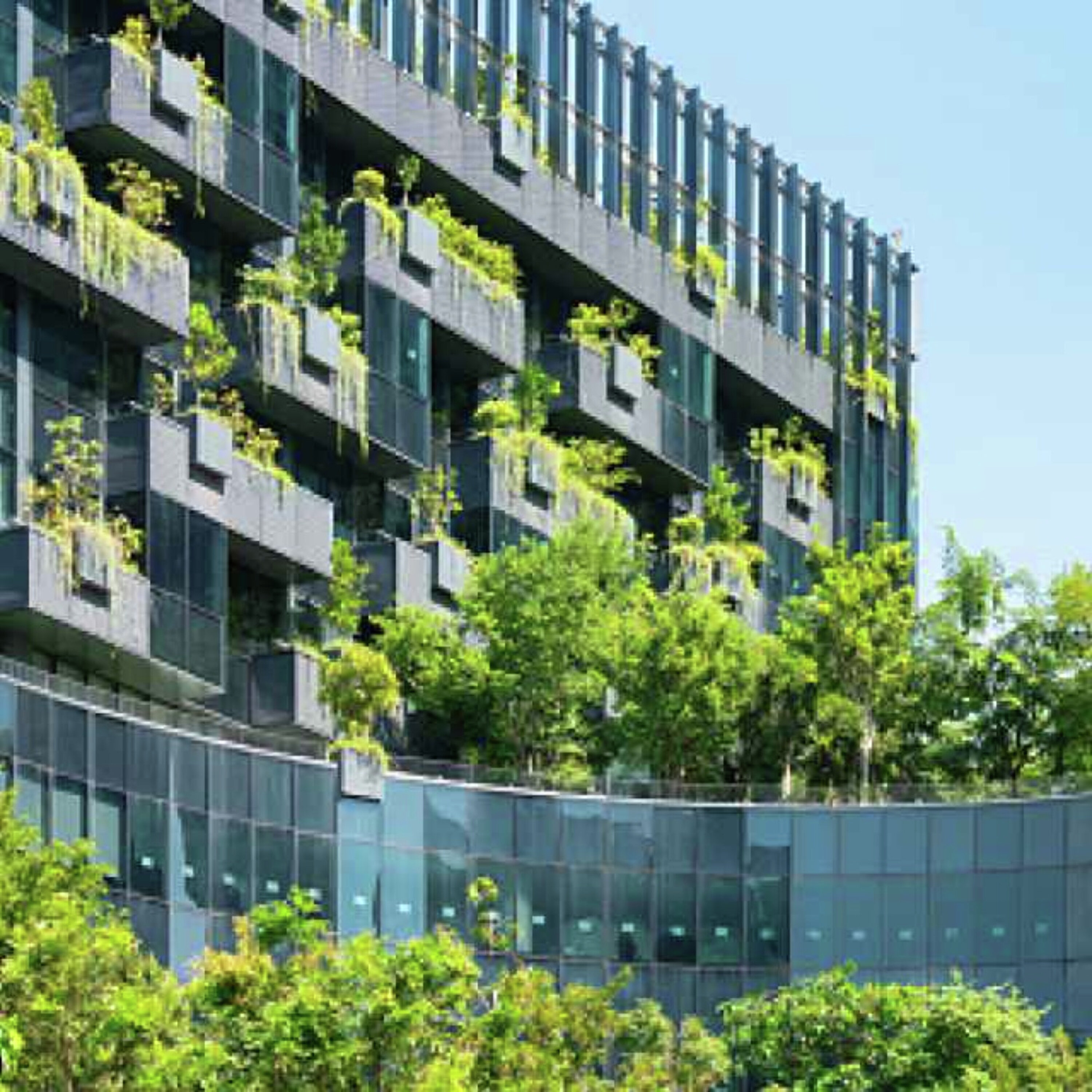 Incentivizing Sustainability podcast