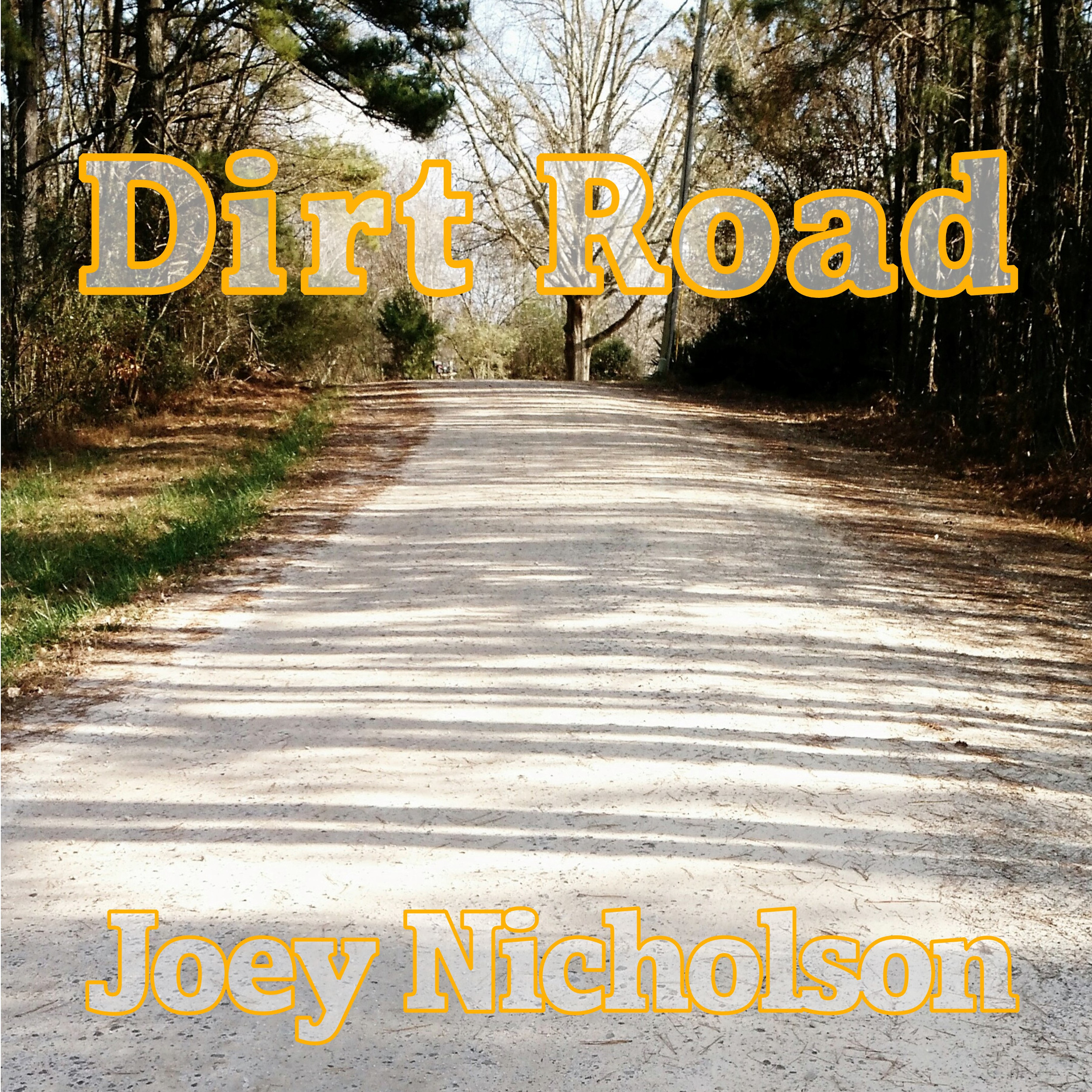 Dirt Road by Joey Nicholson