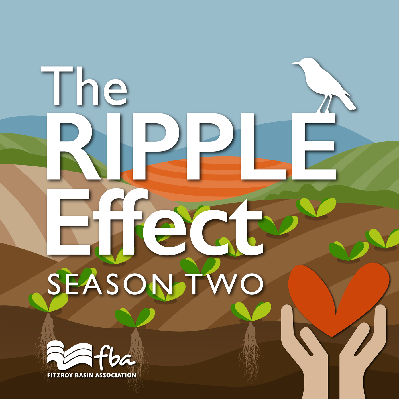 The Ripple Effect