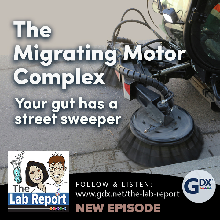 The Migrating Motor Complex