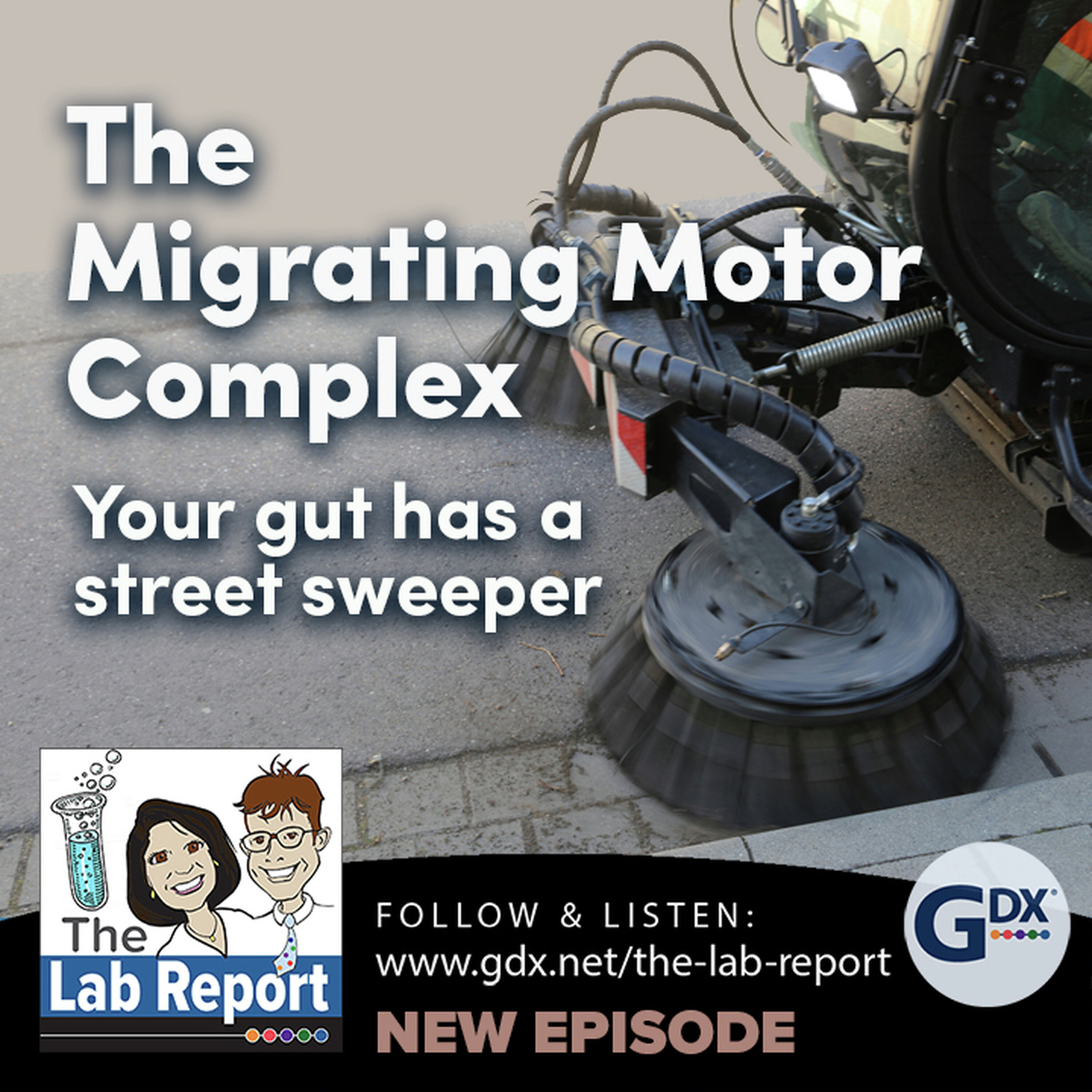 The Migrating Motor Complex The Migrating Motor Complex