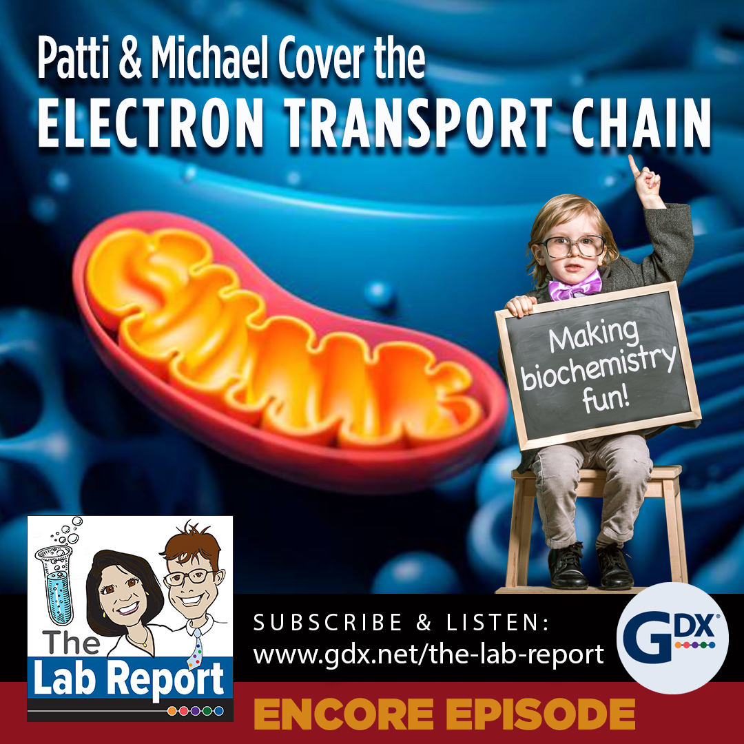 The Lab Report