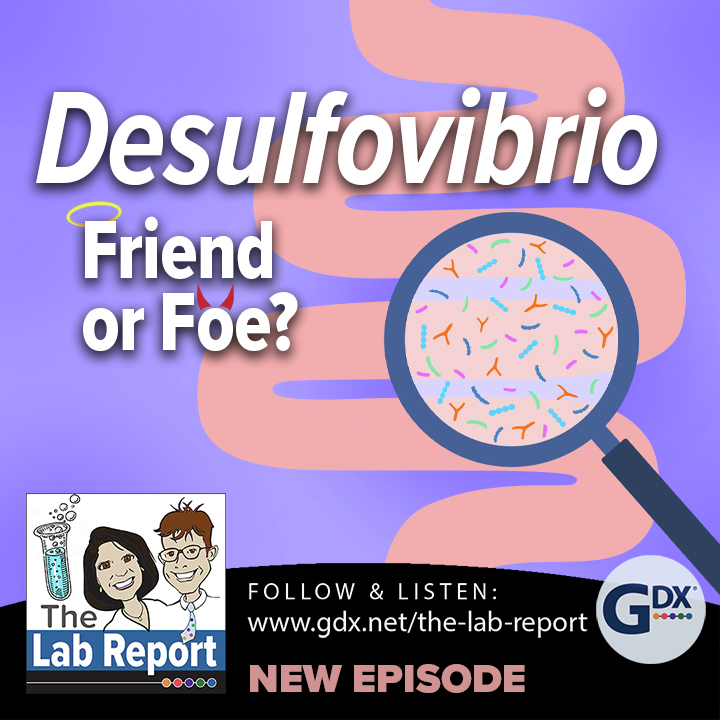 The Lab Report