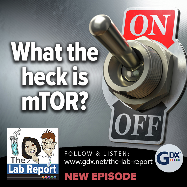 The Lab Report