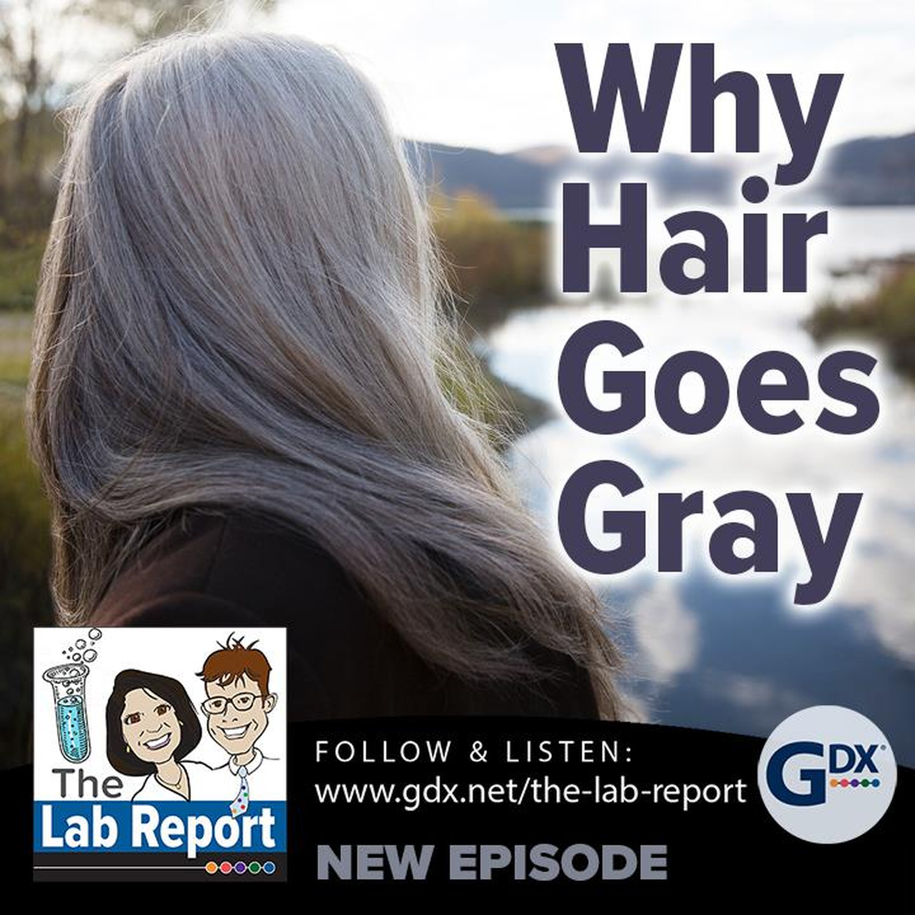 Why Hair Goes Grey Why Hair Goes Grey