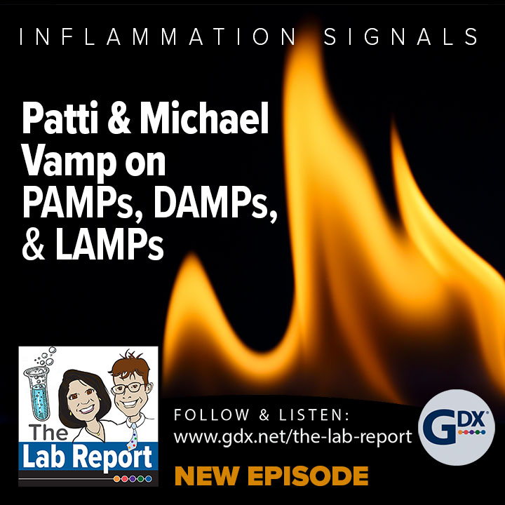 The Lab Report