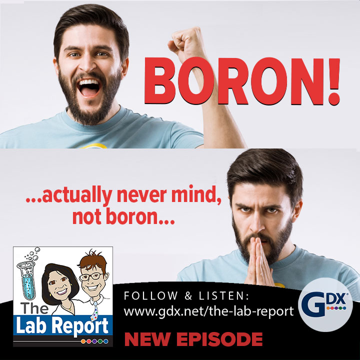 The Lab Report