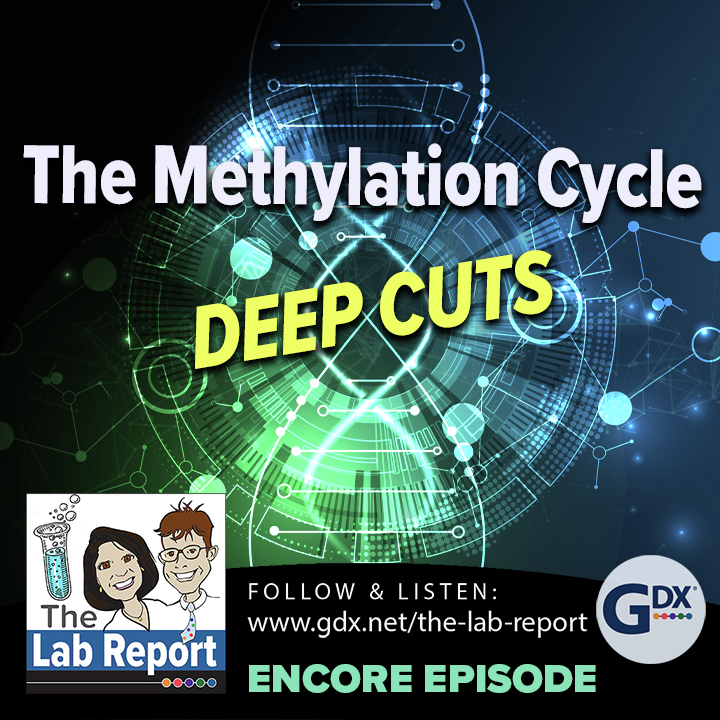 The Lab Report
