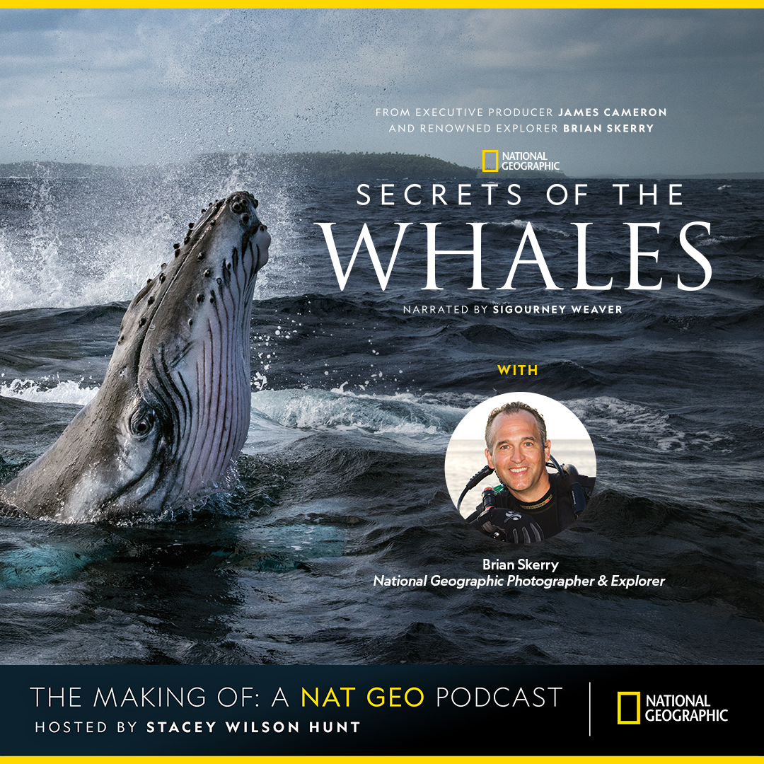 Episode 23: “Secrets of the Whales” with Nat Geo Photographer & Explorer Brian Skerry