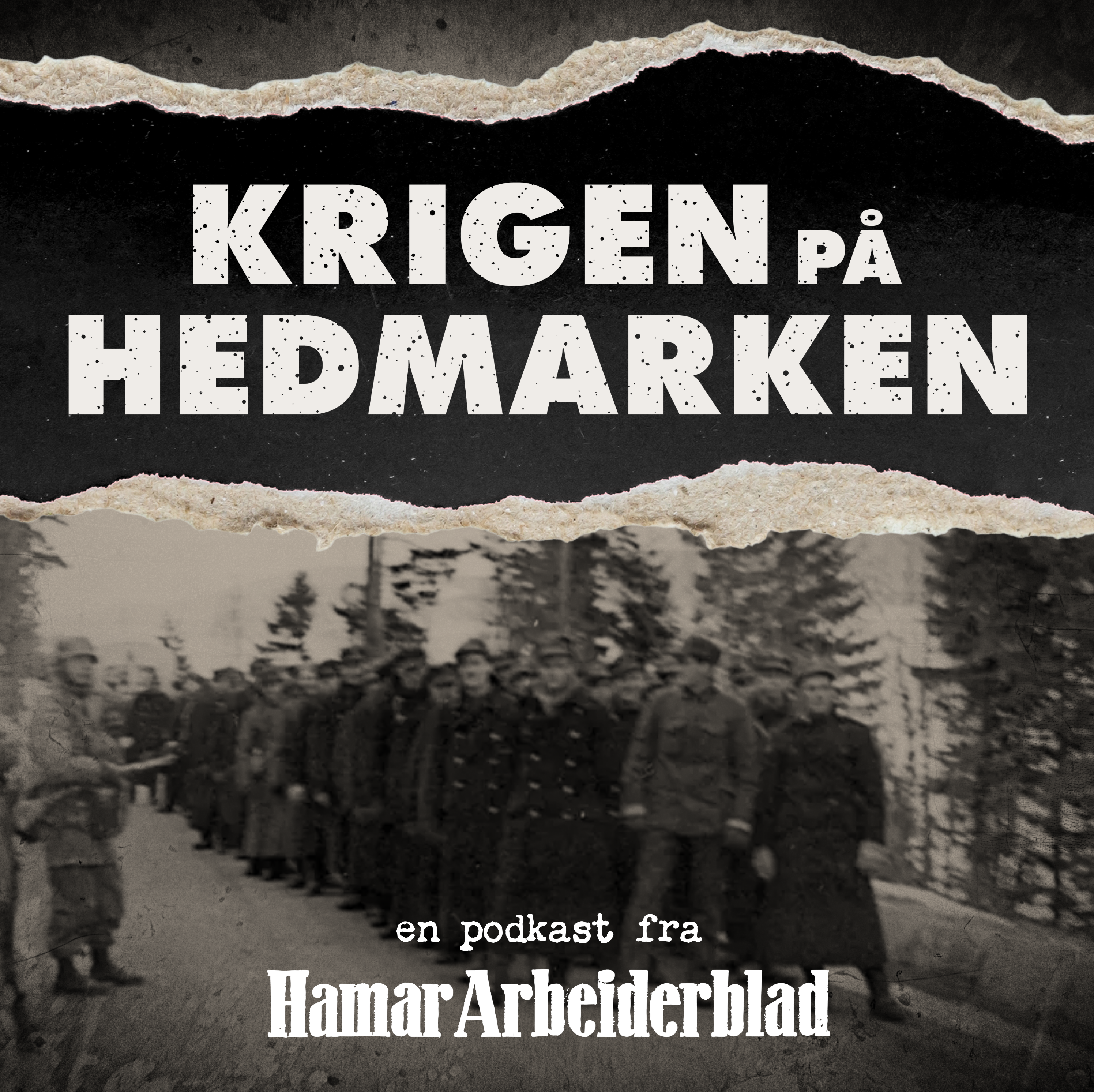 Krigen på Hedmarken