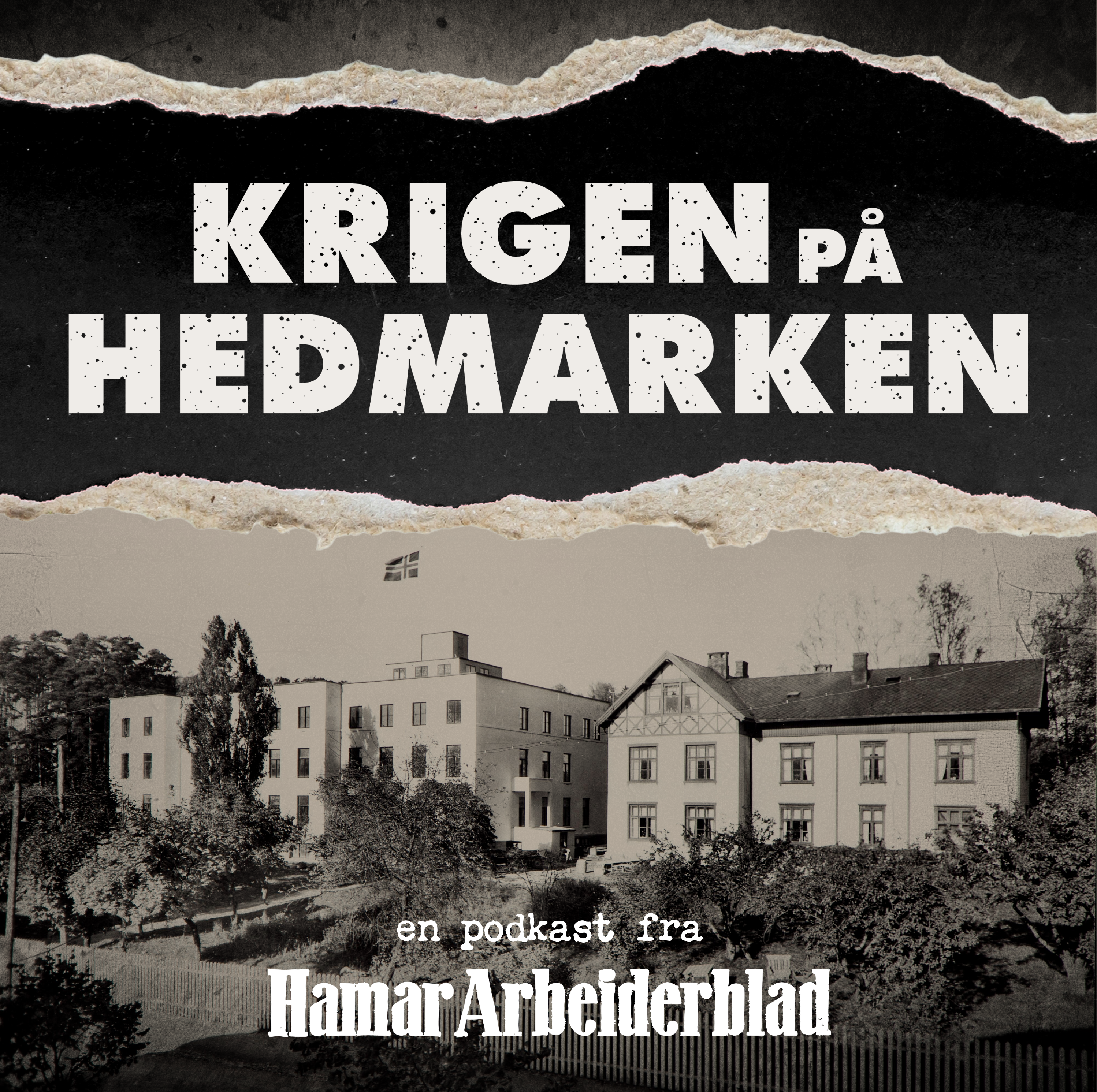 Krigen på Hedmarken