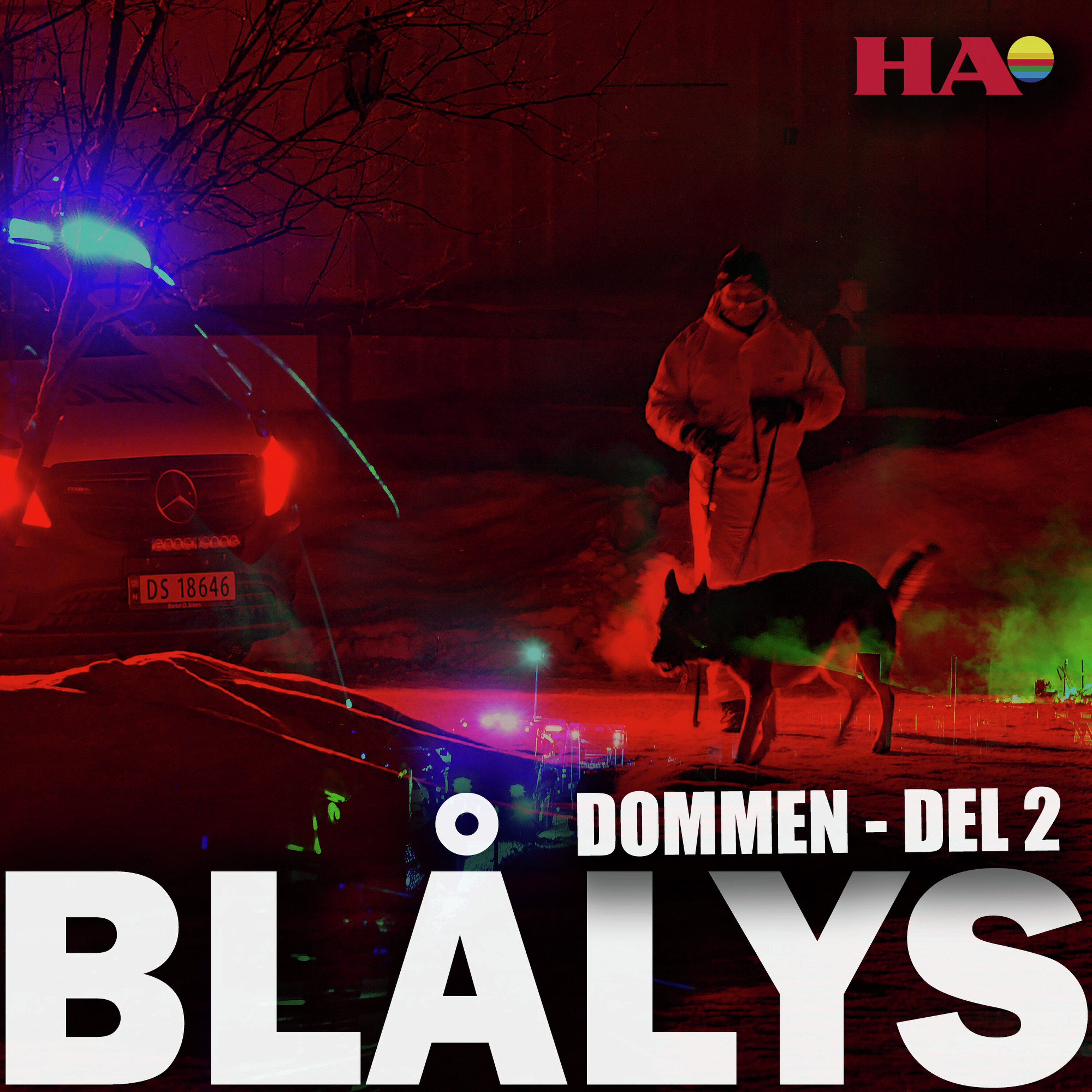 Blålys Podcast: Dommen mot Veronica Lystrup: Del 2 - nødverge Blålys episode image