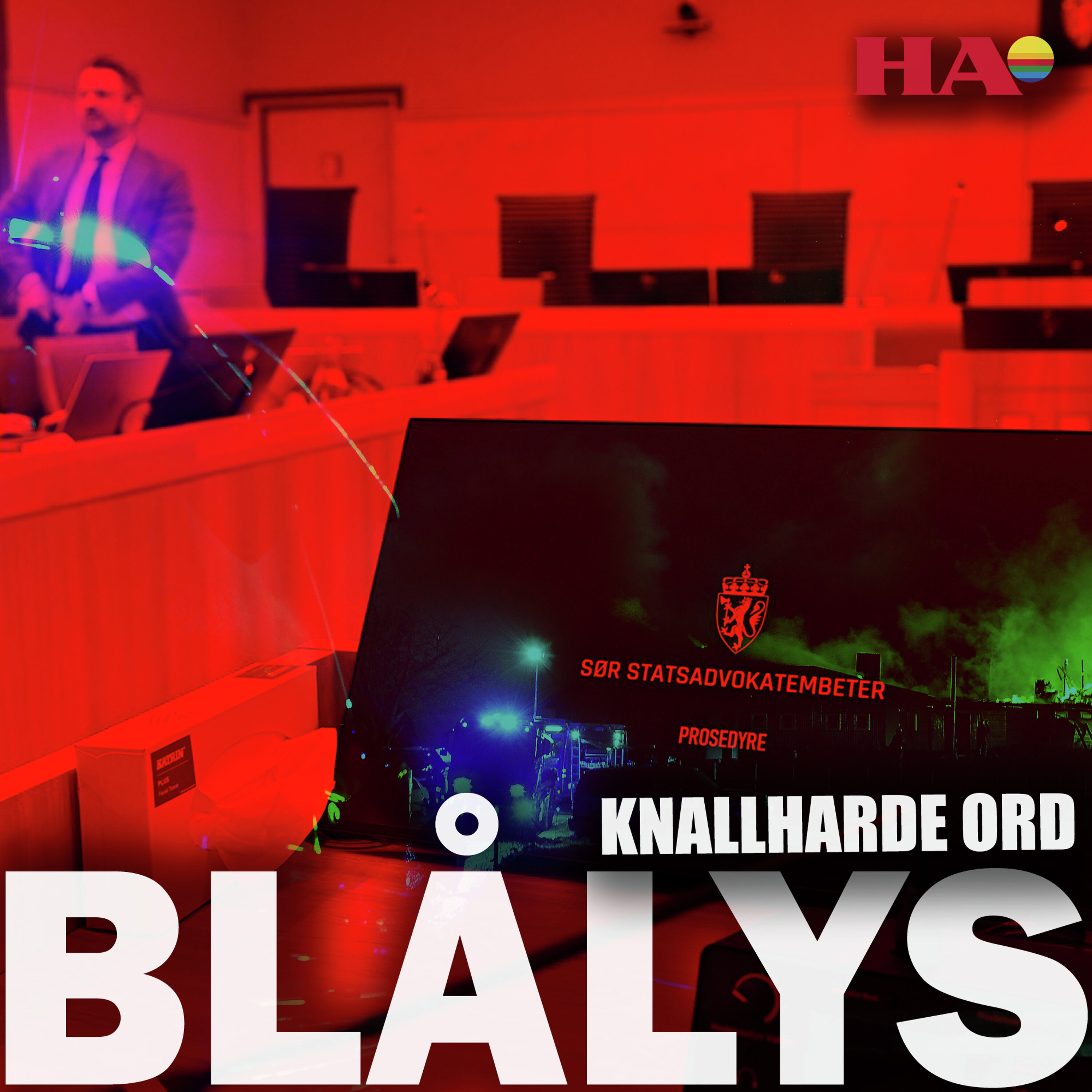 Blålys Podcast: De siste ordene i Løten-saken: – Hun er skamløs og villig til å si hva som helst Blålys episode image