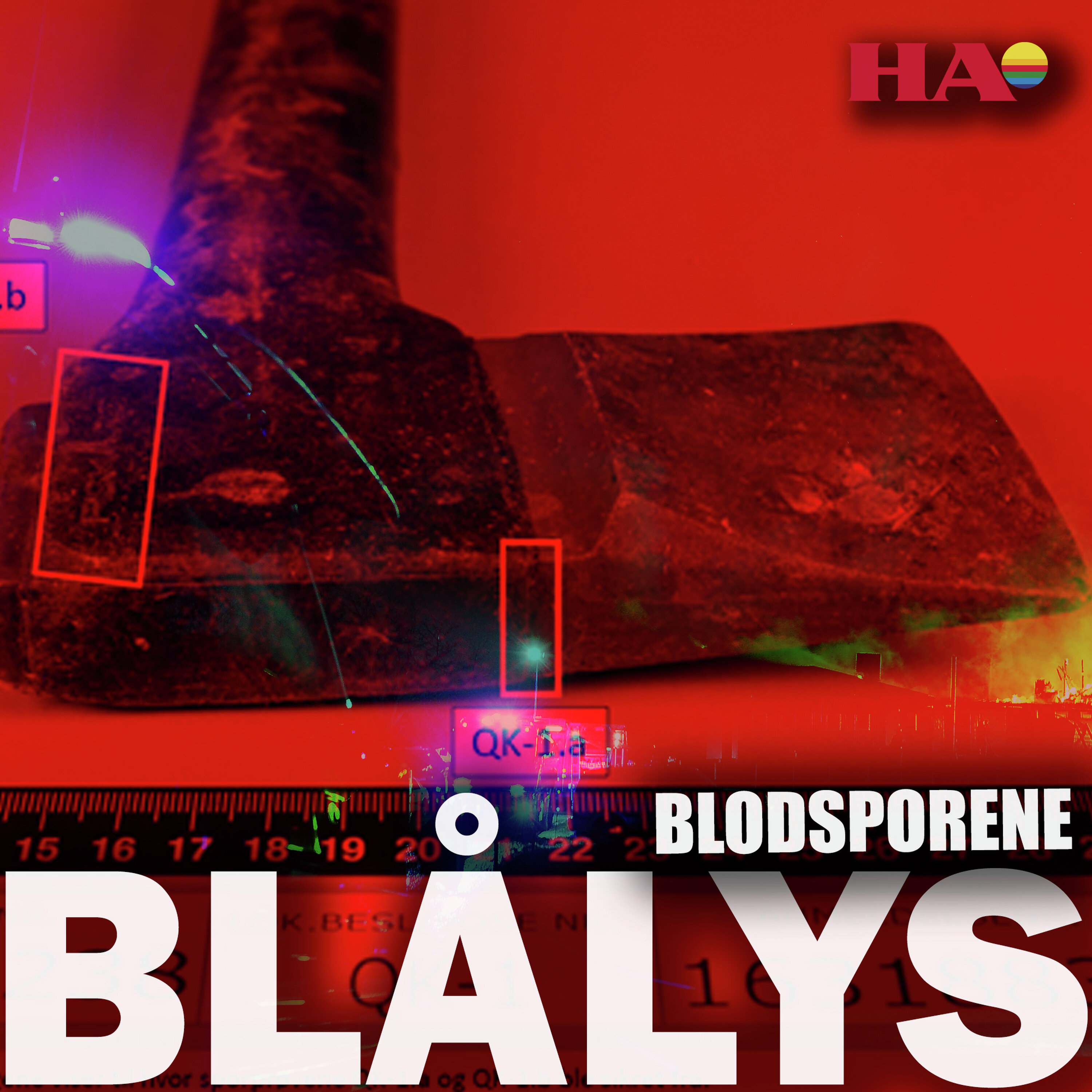 Blålys Podcast: – Lystrups nye forklaring får lite støtte i krimteknikken Blålys episode image