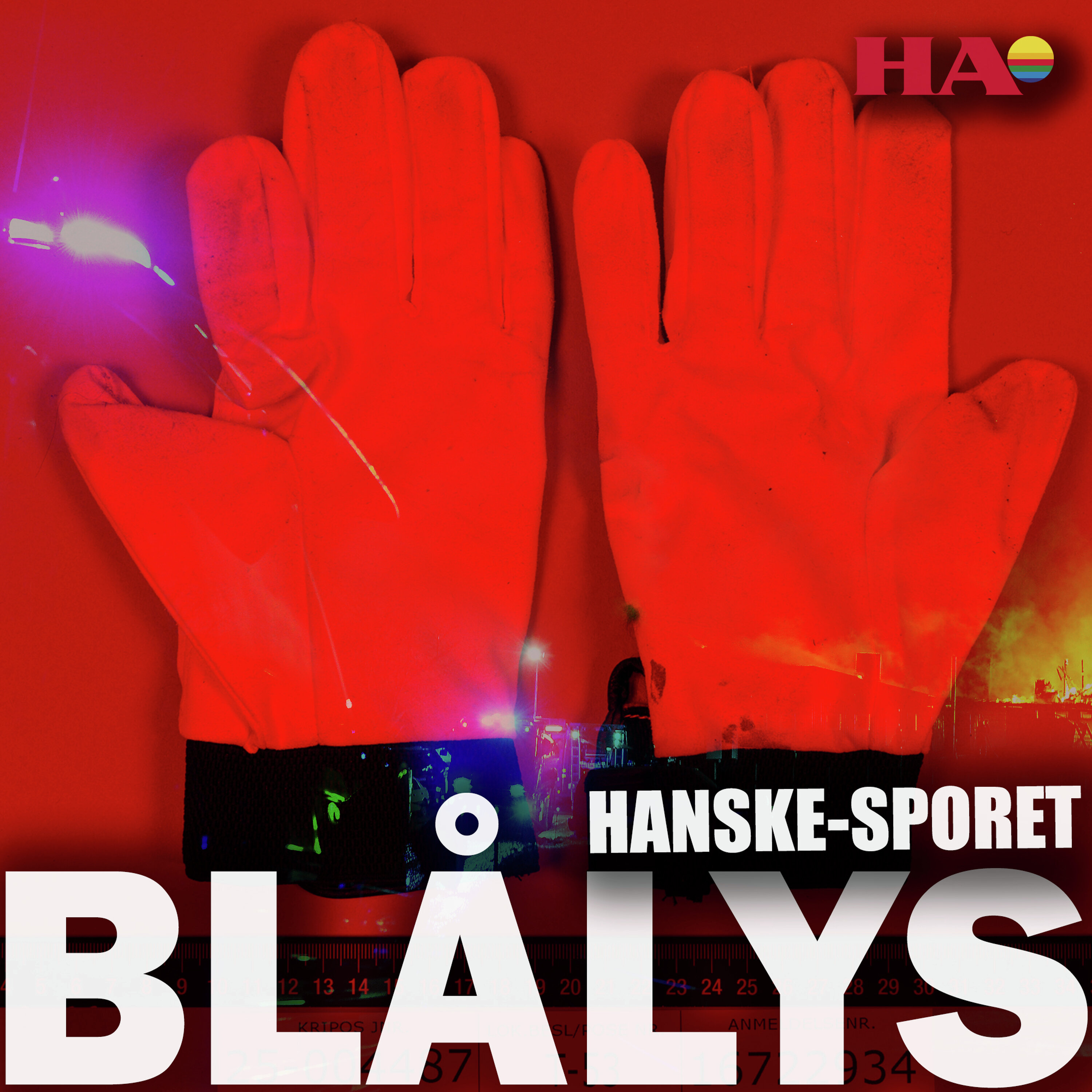 Blålys Podcast: «Tyster-kodeksen», DNA på hanskene og en ukjent tredjeperson Blålys episode image